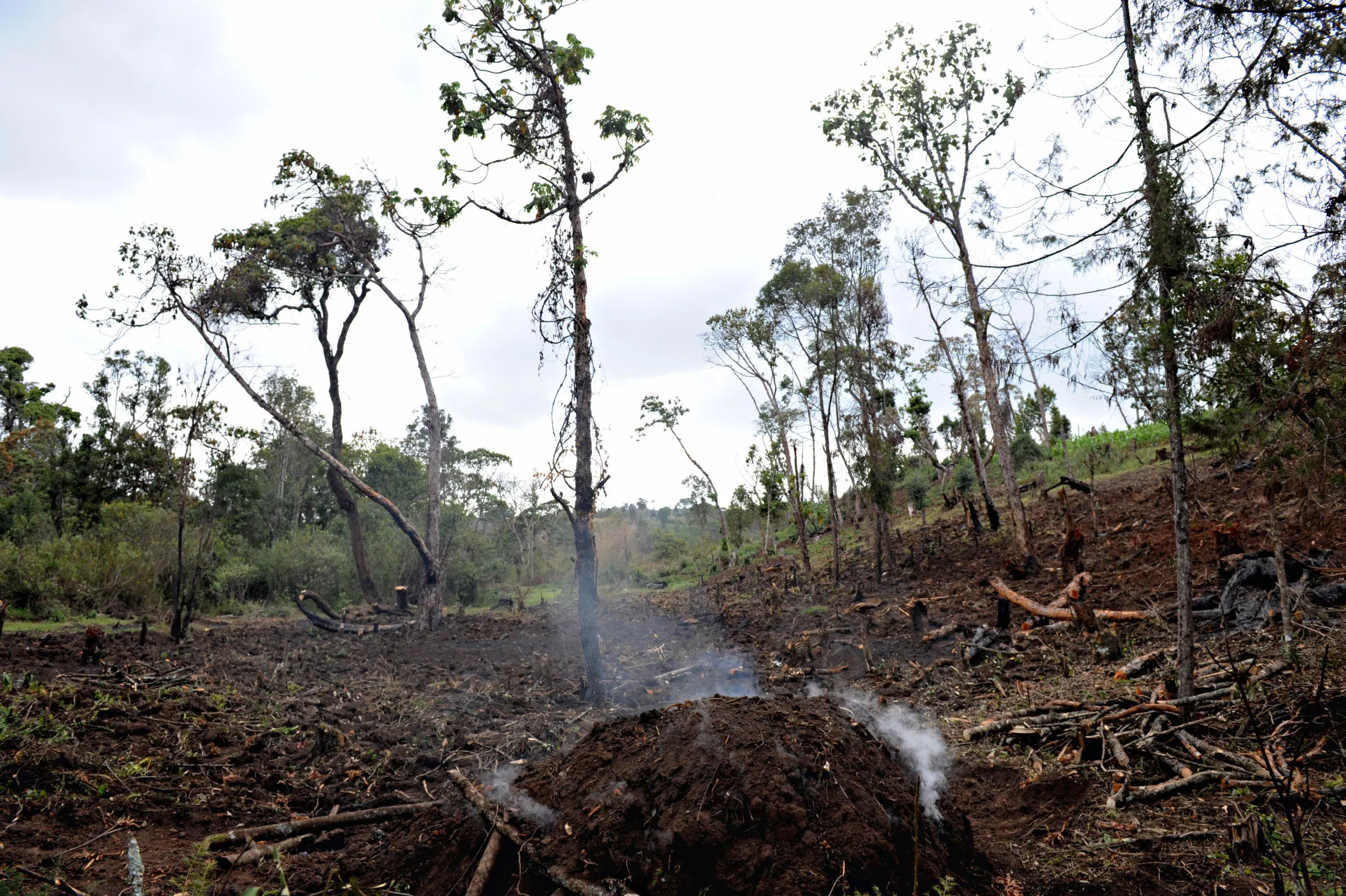 Kenya's Land Grab Is Profiting From Pain - Vimarsana News
