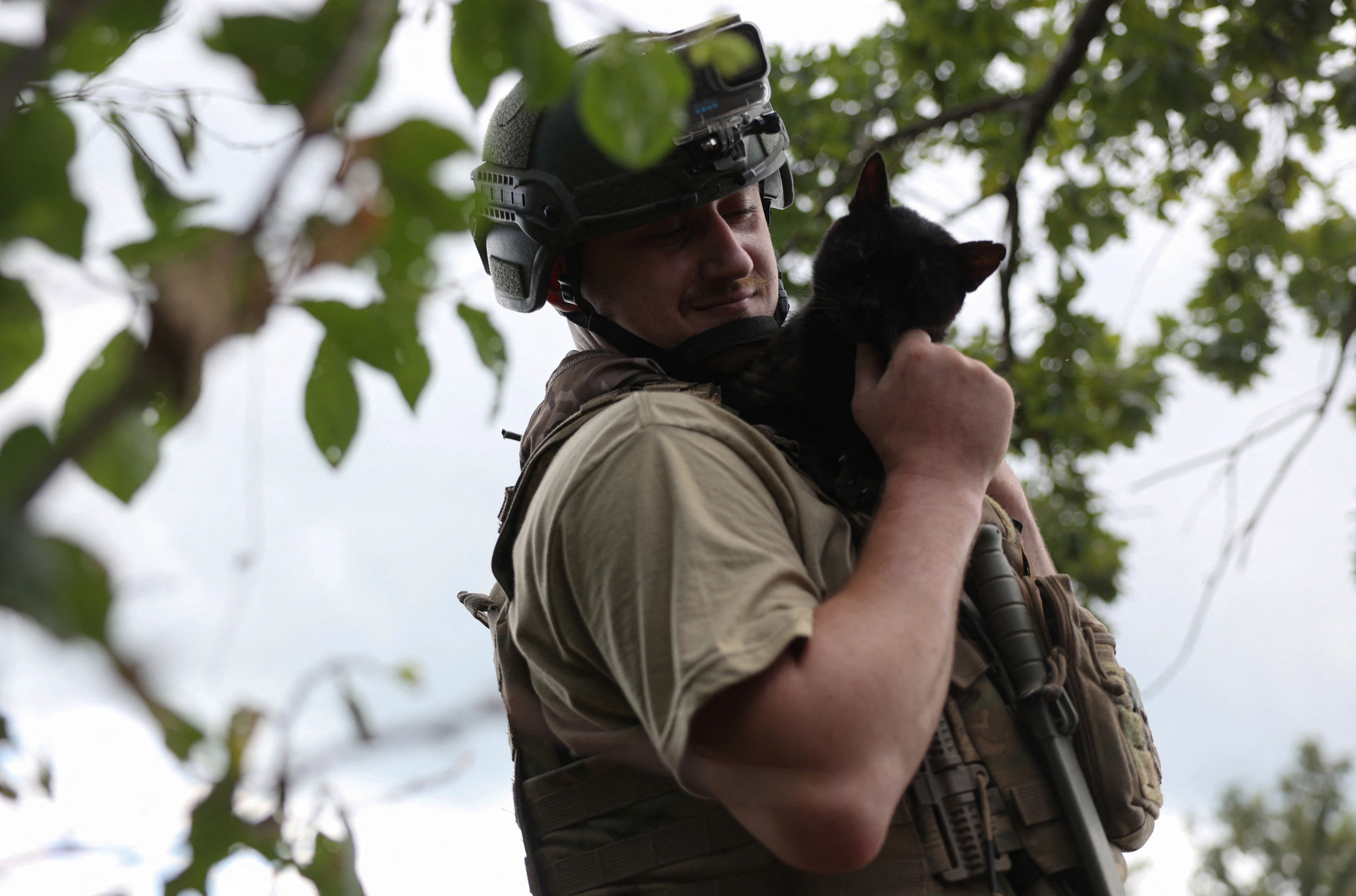 Russian Cat Killer 'Eliminated' on Ukraine Frontlines - Newsweek