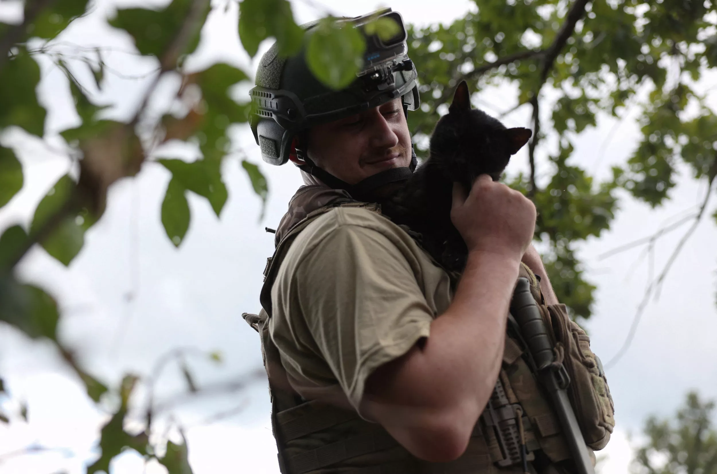 Russian Cat Killer 'Eliminated' on Ukraine Frontlines - Vimarsana News