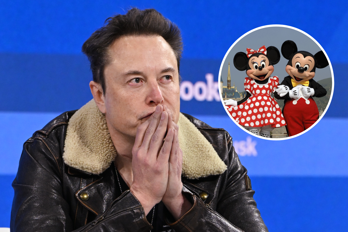 Elon Musk in 2023, Disneyland