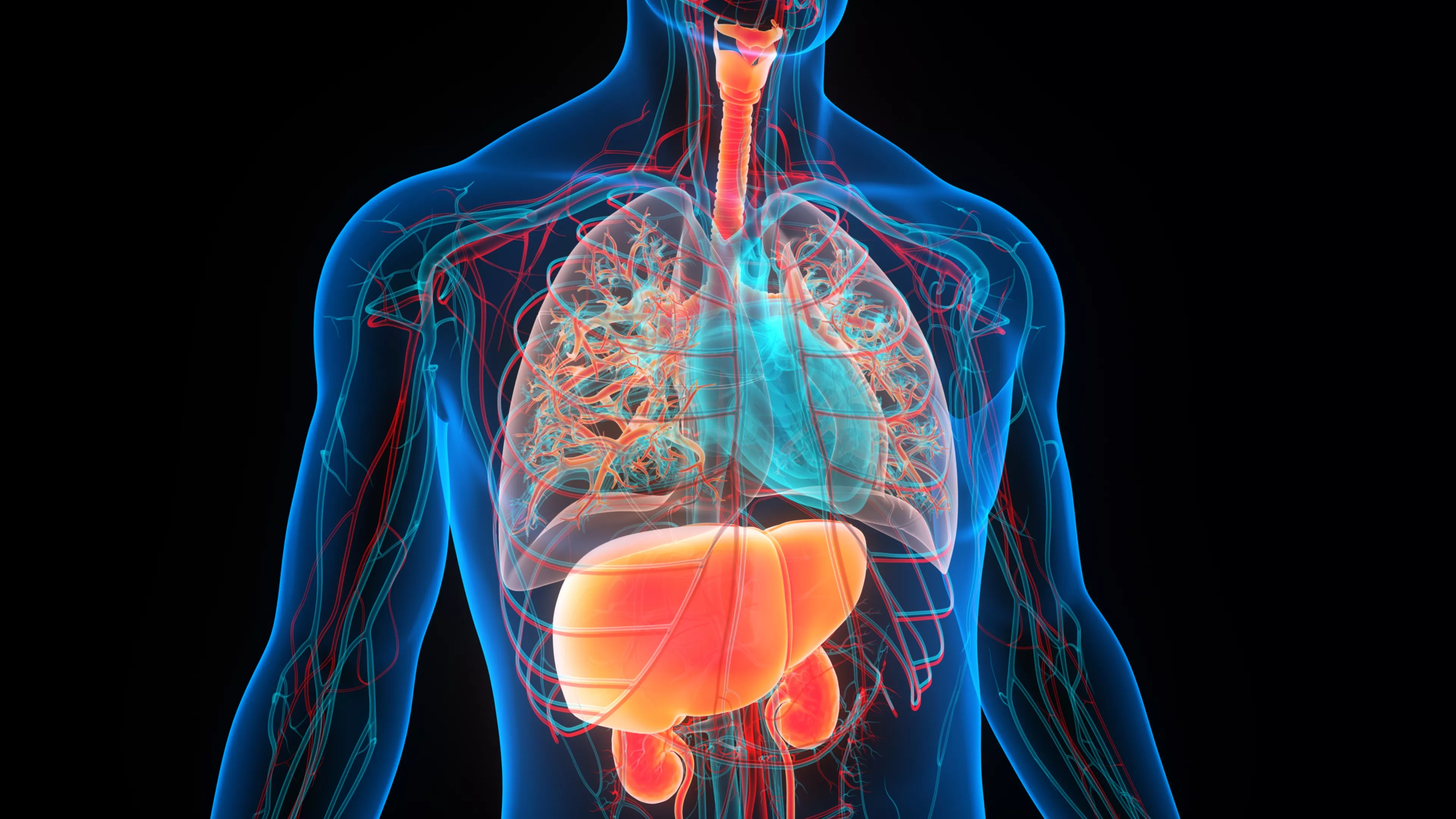 Blood Test Can Reveal if You Are at Risk From Organs Aging Prematurely - Vimarsana News