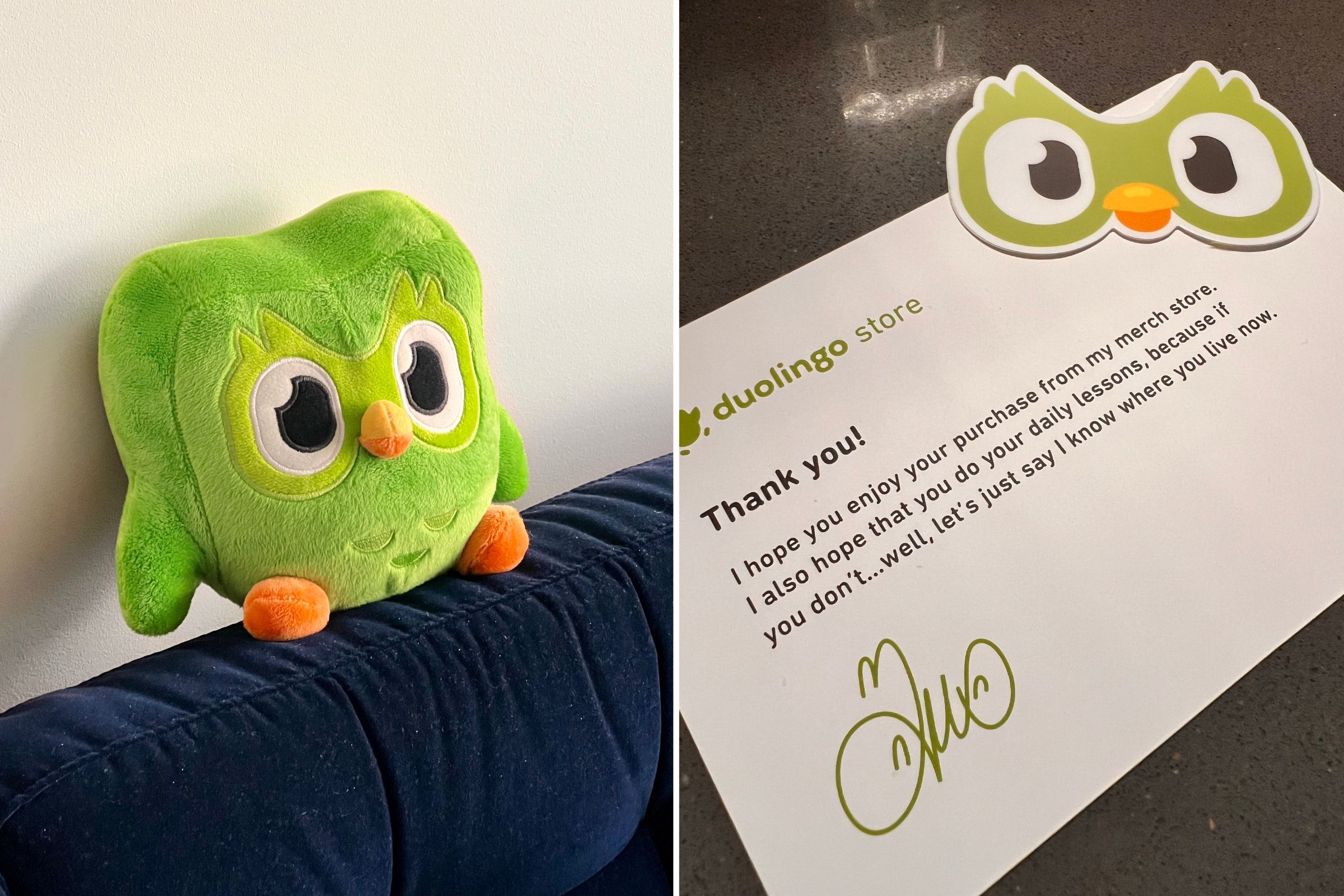 Duolingo stuffed owl online