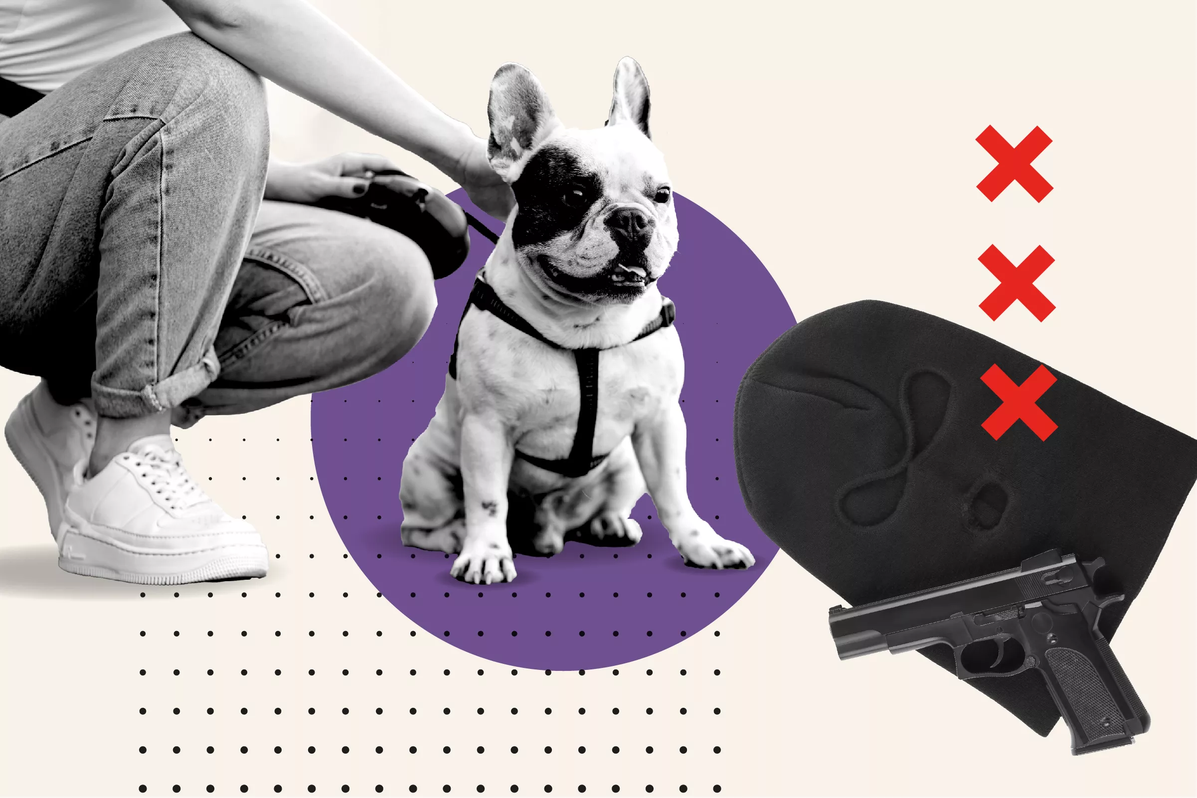 Dog Owners Violently Attacked by People Trying to Steal Their Pets - Vimarsana News
