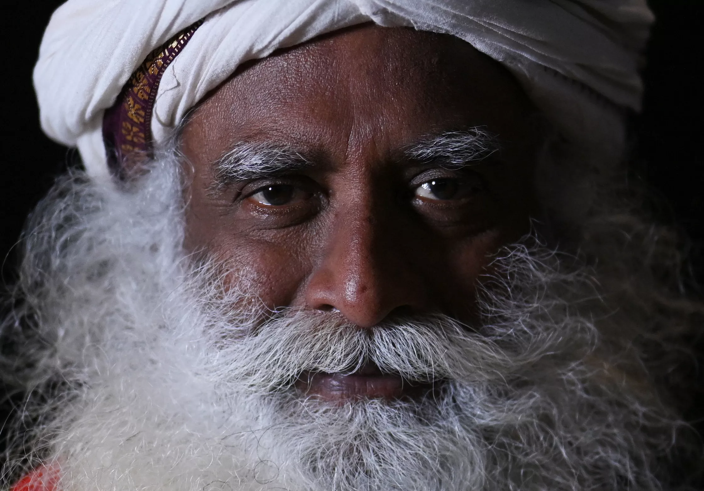 Exclusive: Sadhguru Issues Dire Warning About Future of World - Vimarsana News