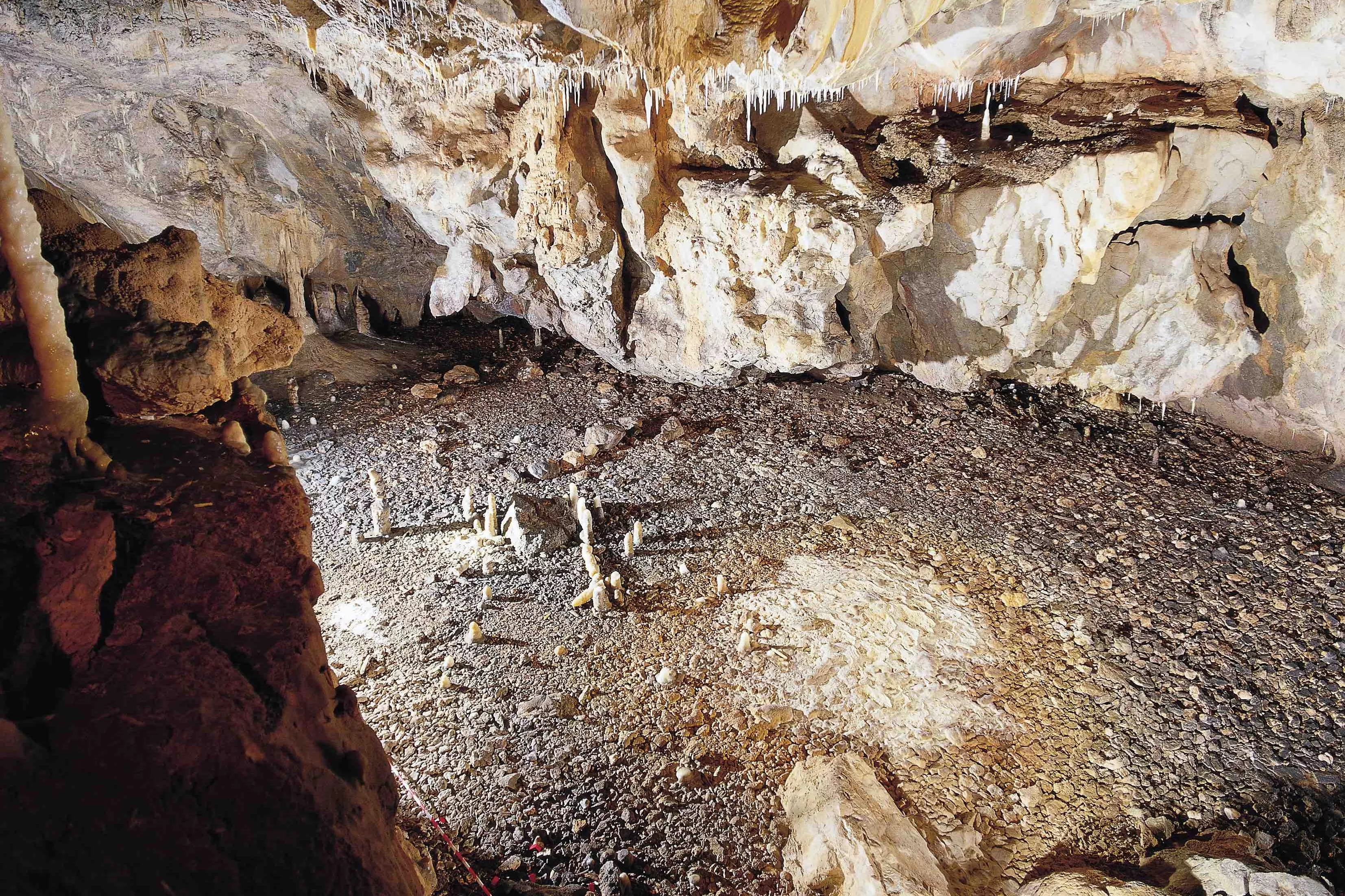 Archaeologists Find 16,800-Year-Old Cave Dwelling That Is 'One of the Best' - Vimarsana News