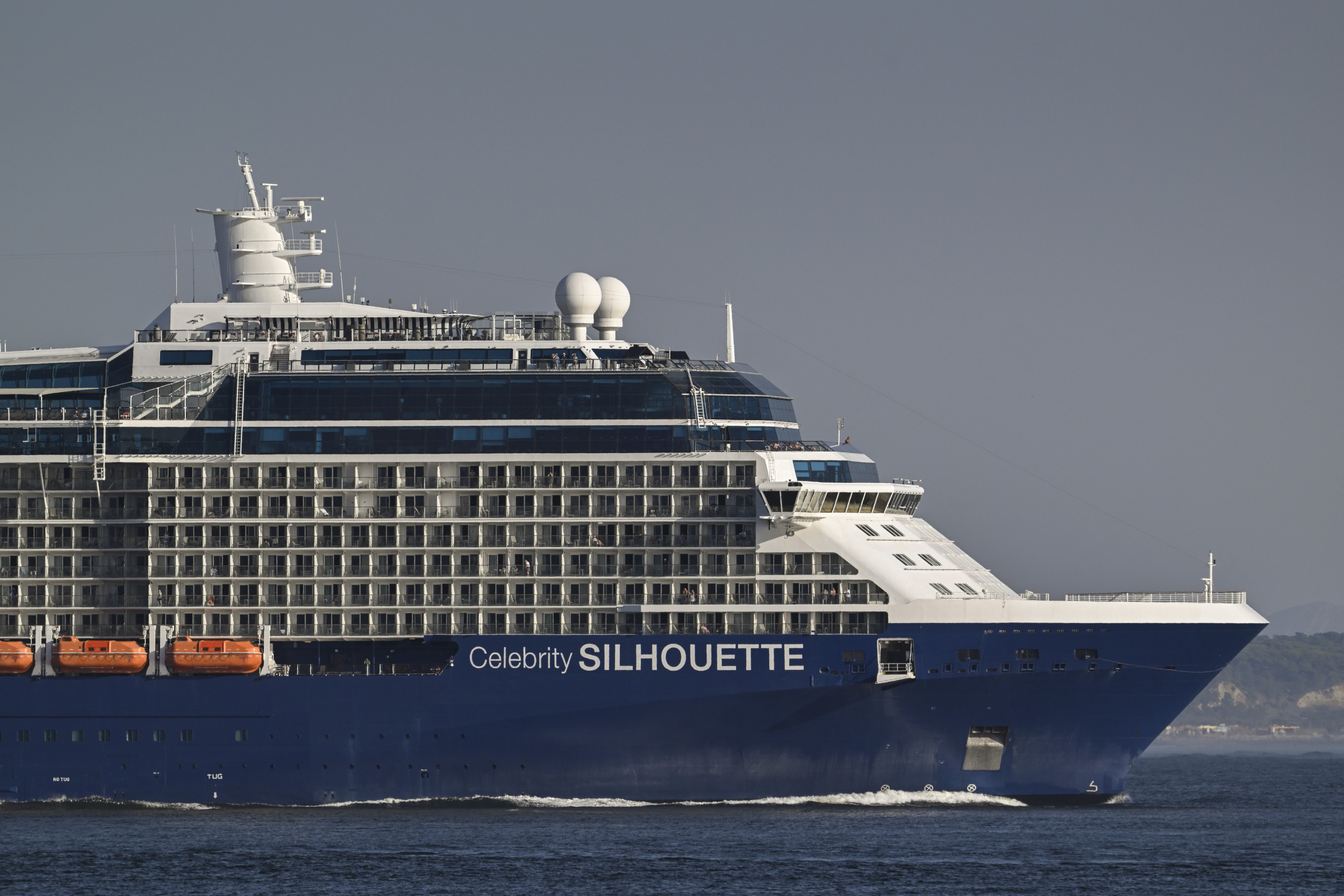 Cruise Ship Worker Admits to Molesting Multiple Children on Board—FBI -  Newsweek