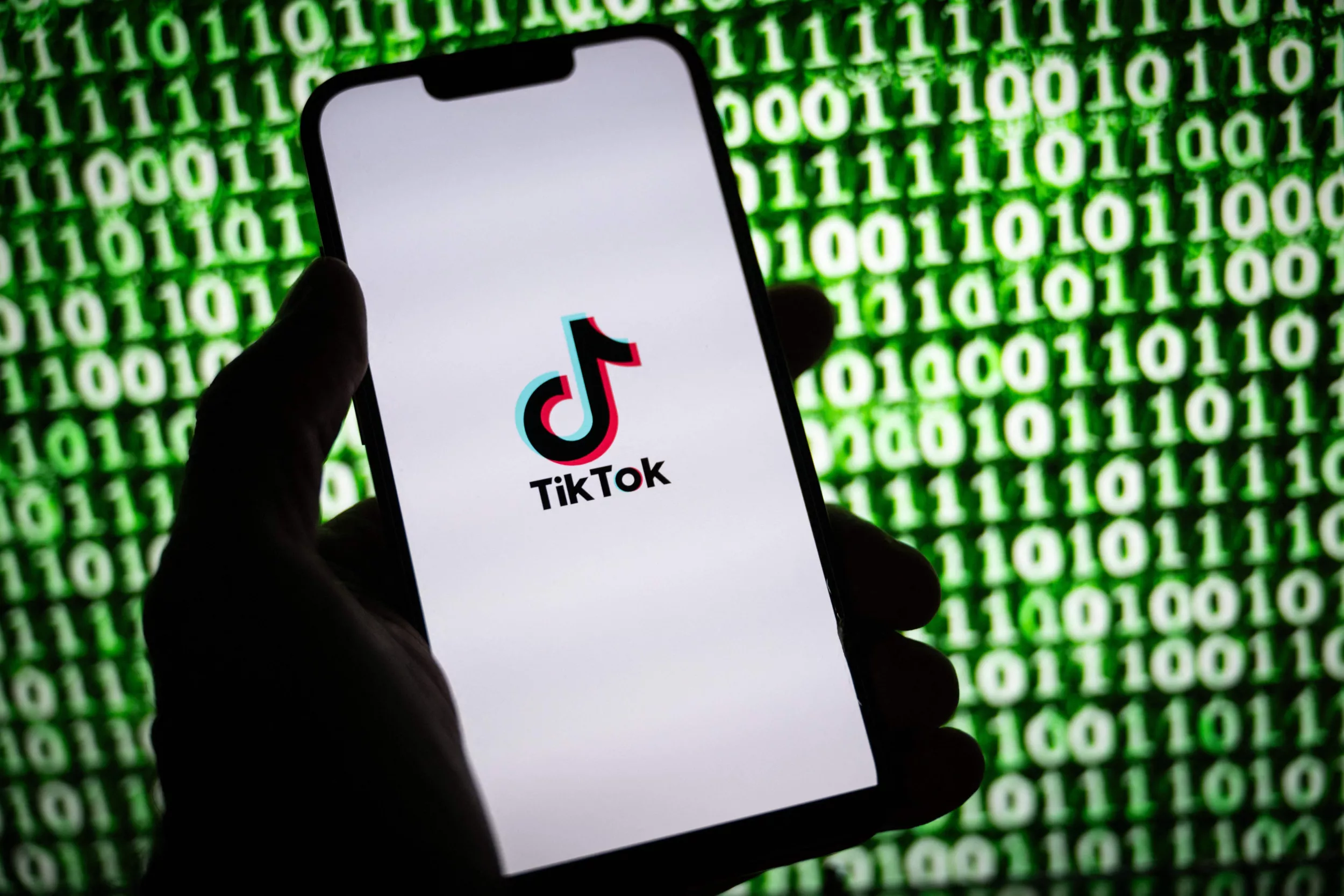 TikTok is Body-Shaming the U.S. Economy Ahead of the 2024 Election - Vimarsana News