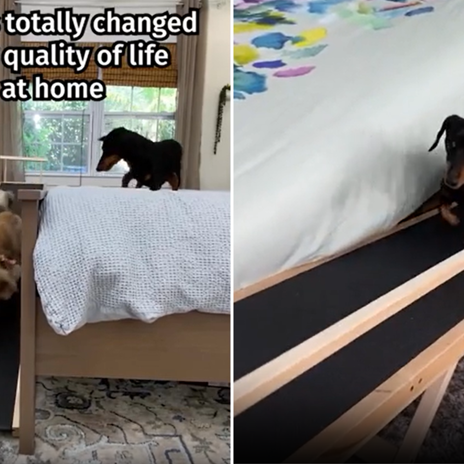 Crusoe bed ramp best sale