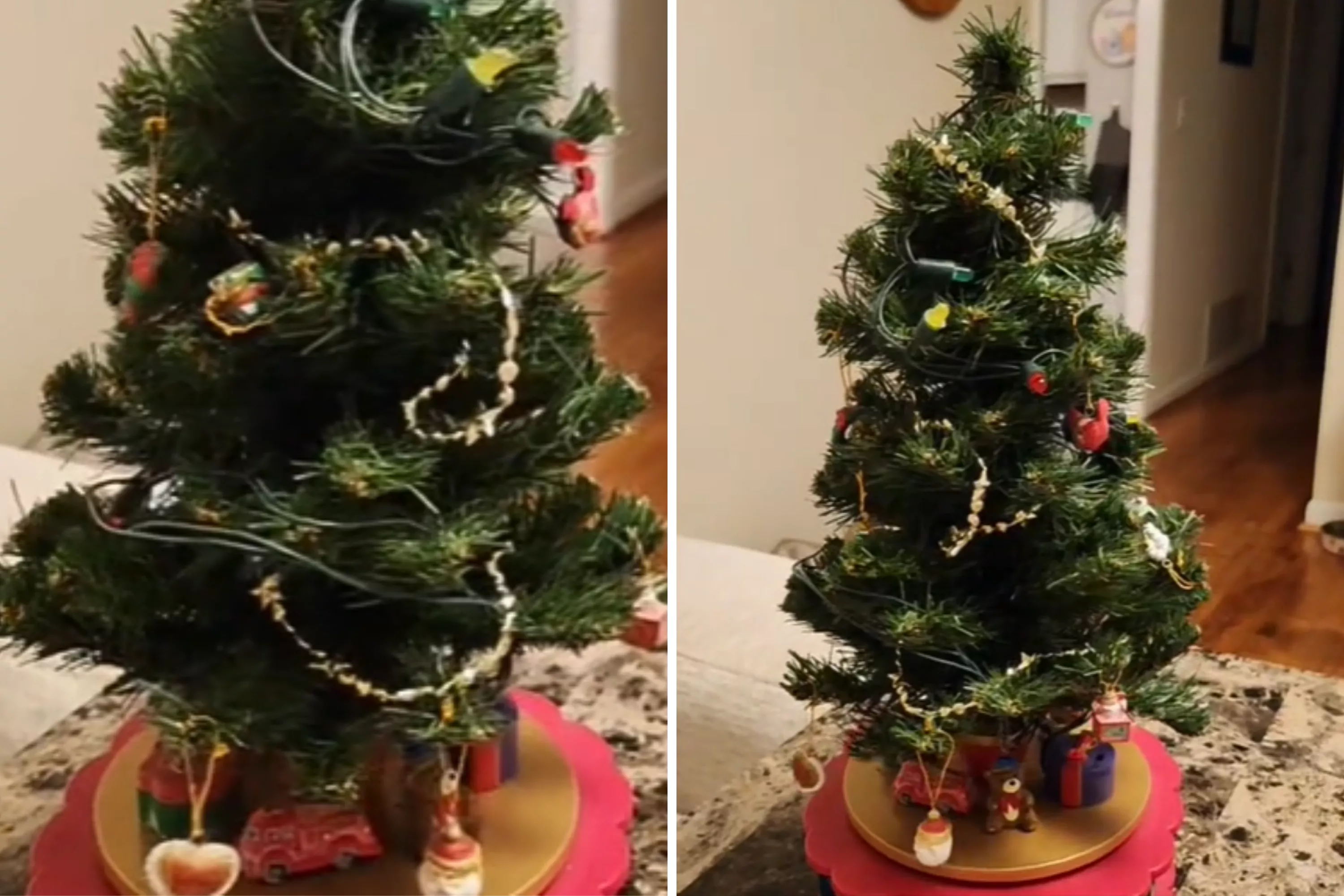 Laughter At 'Haunted' Tree Unintentionally Capturing Christmas Spirit - Vimarsana News