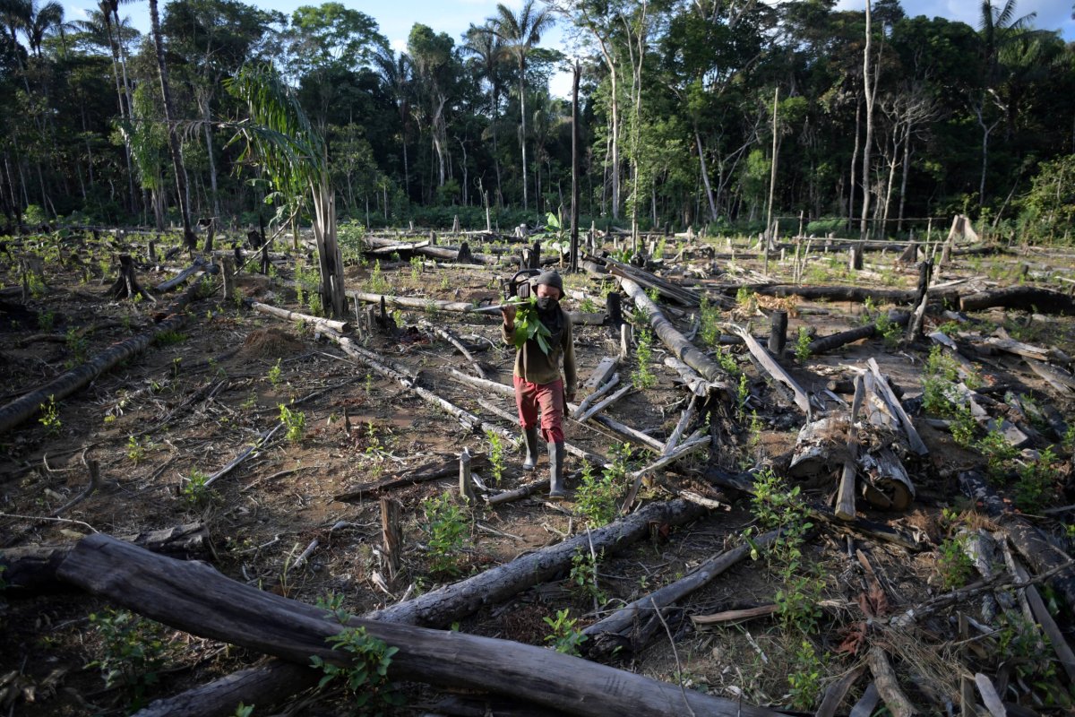 Colombia deforestation forests