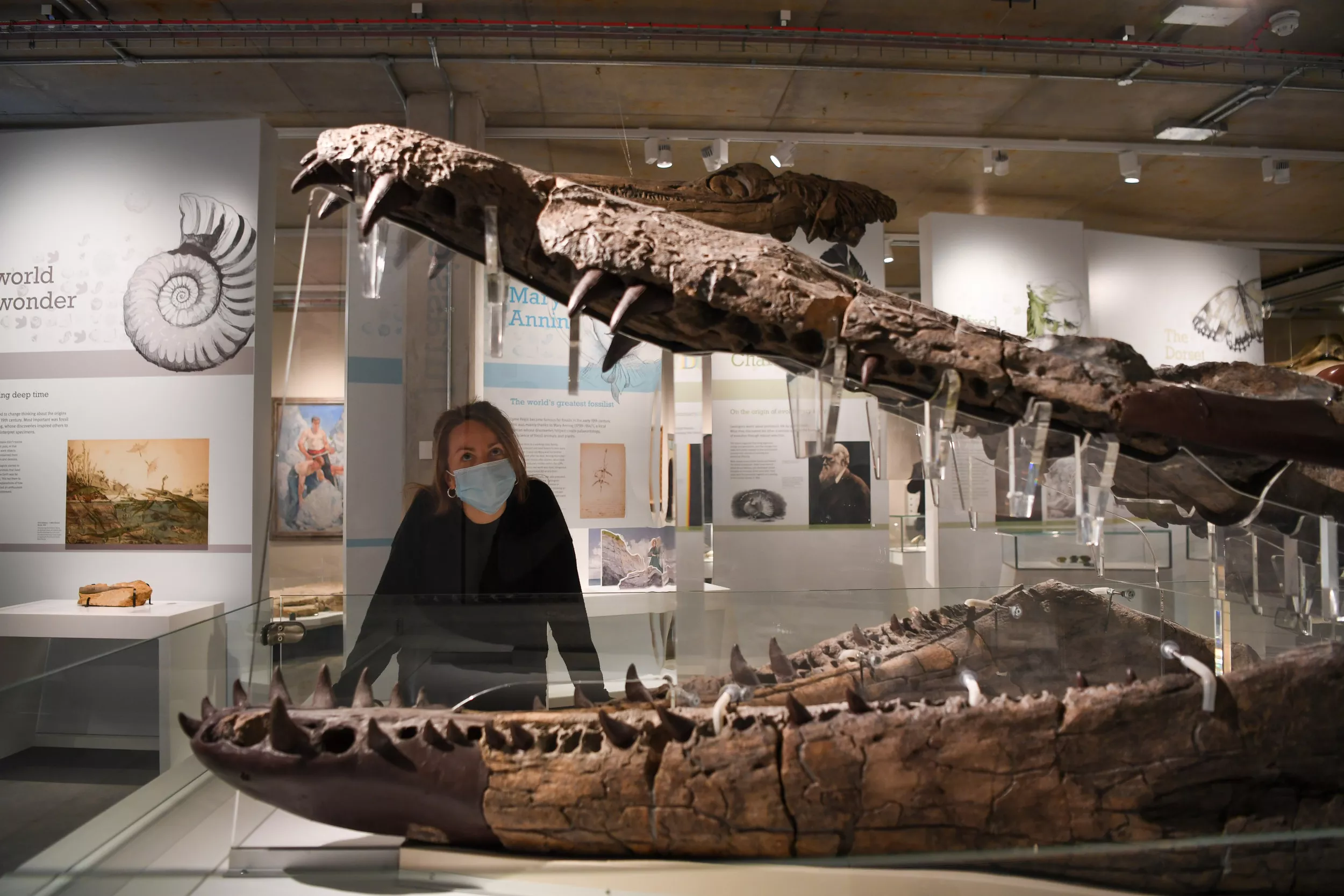 Extinct Sea Monster Suddenly Found During Walk on the Beach - Vimarsana News