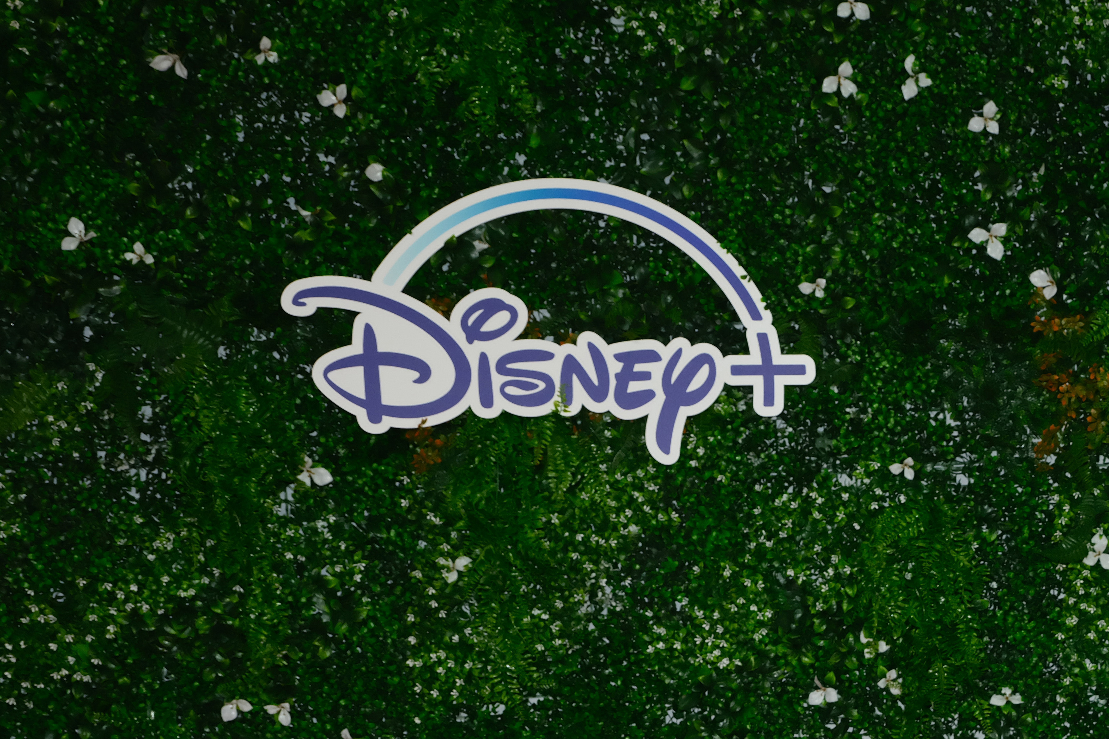 Disney Makes Surprising Deal With Netflix