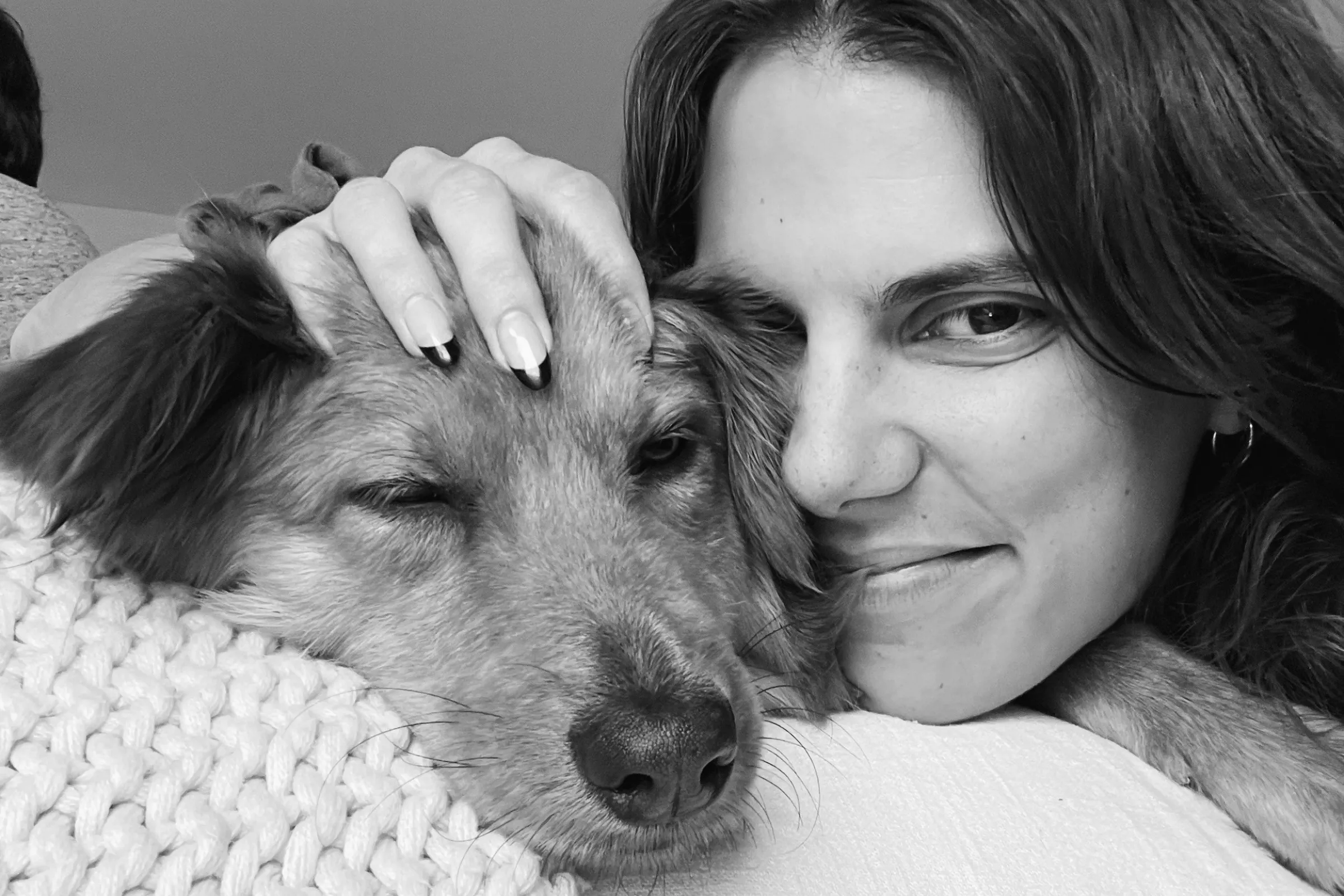 Timid Rescue Dog Becomes Office Coworker—Colleagues 'Gained Her Trust' - Vimarsana News