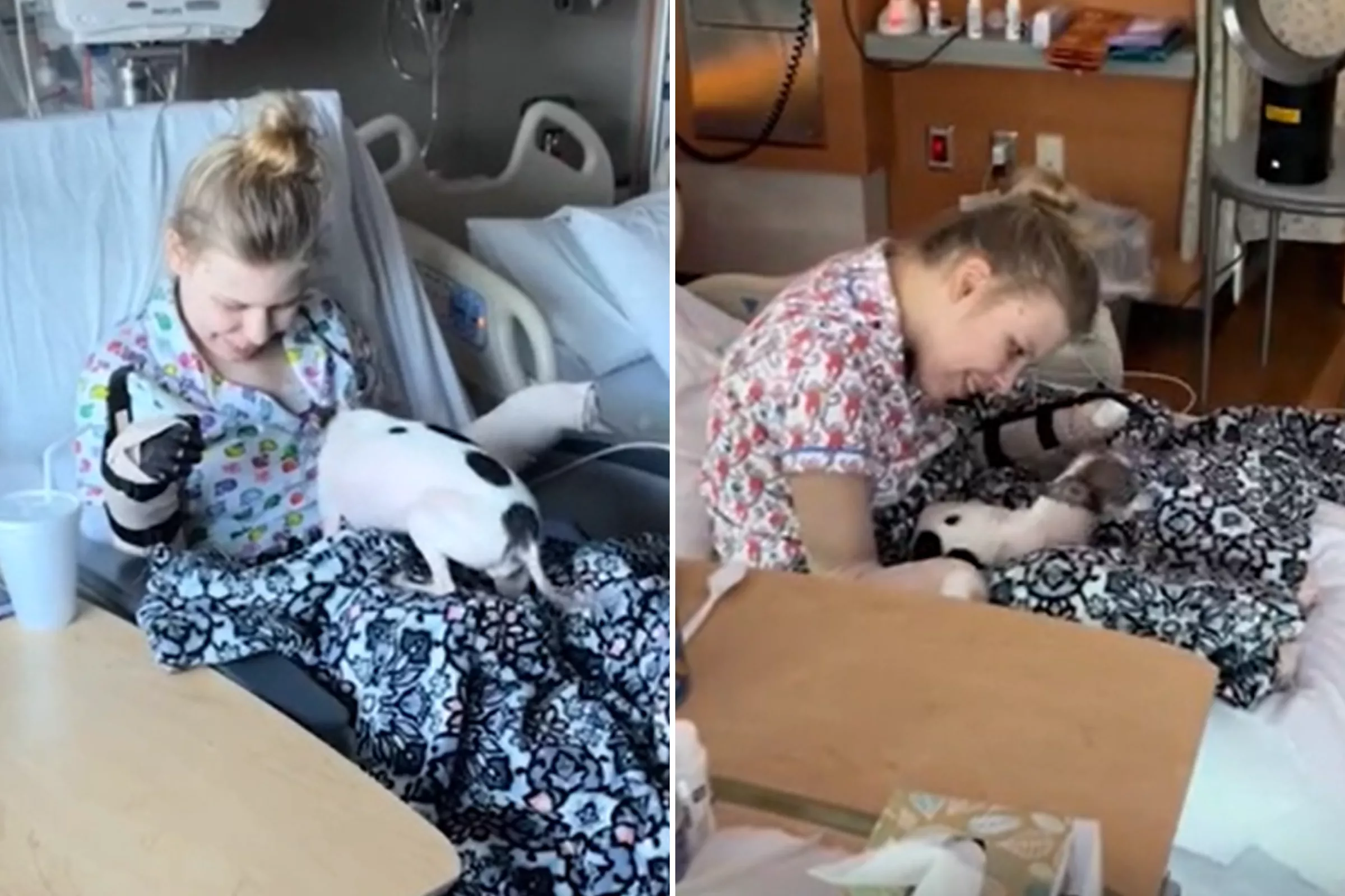 Moment Woman in Coma for Weeks Reunites With Dog After Losing Her Limbs - Vimarsana News