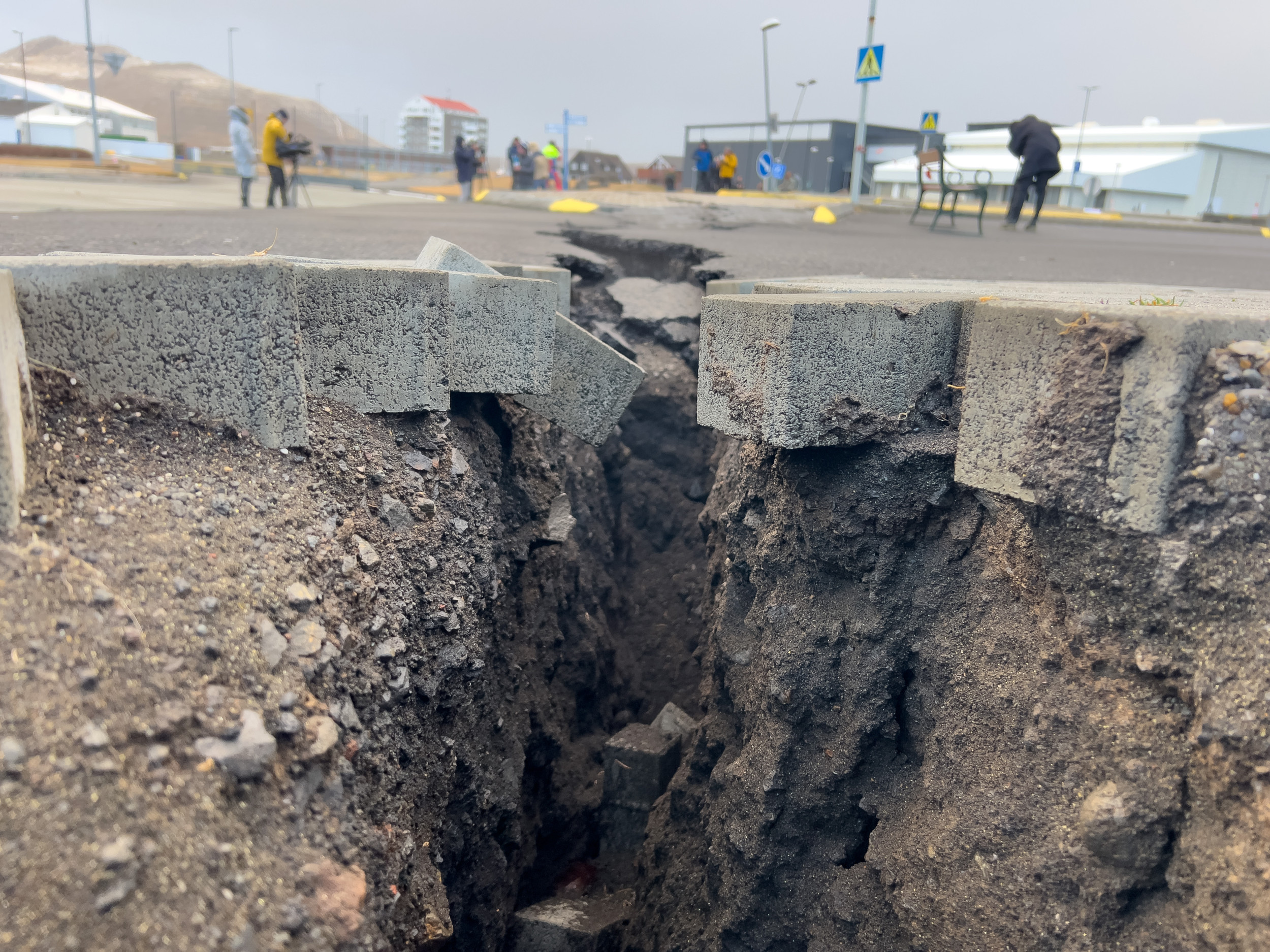 iceland volcano eruption 2010 case study