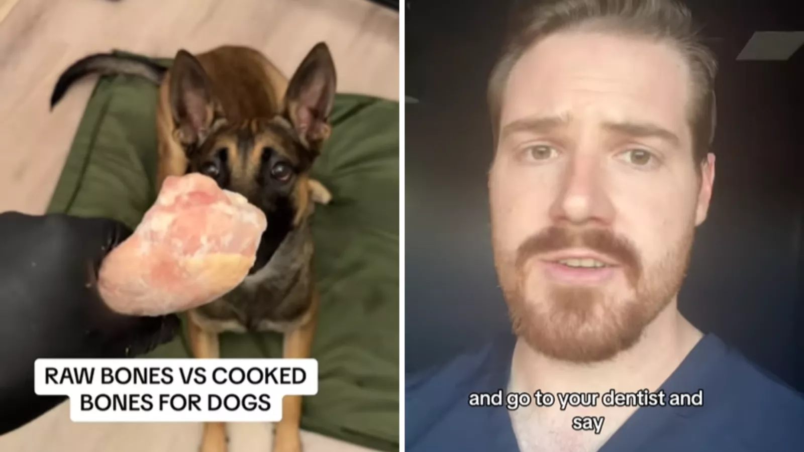 Best raw bones for cleaning hot sale dogs teeth