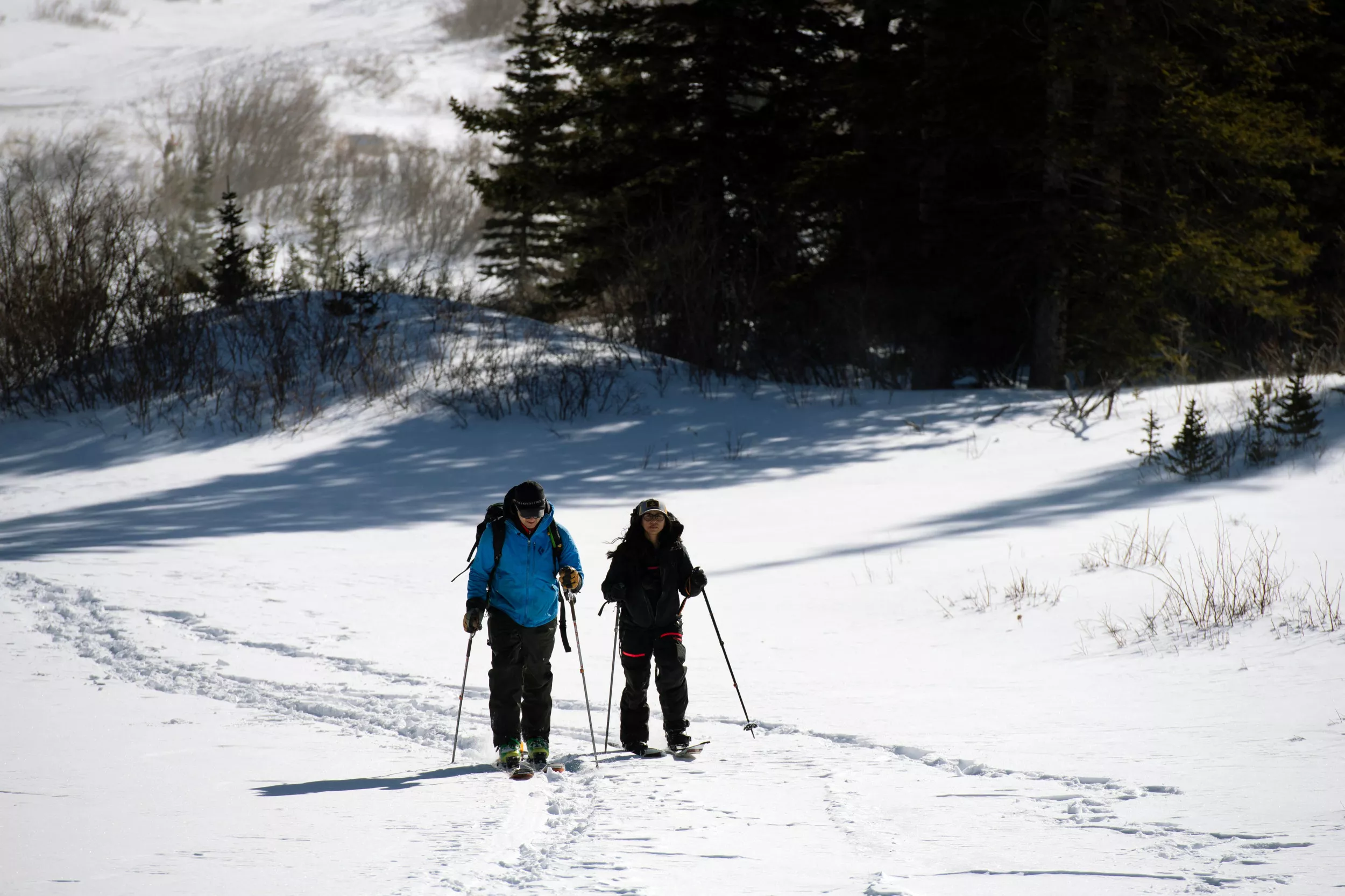 Winter Weather Alerts for 5 States As Snow Storm Hits Rockies - Vimarsana News