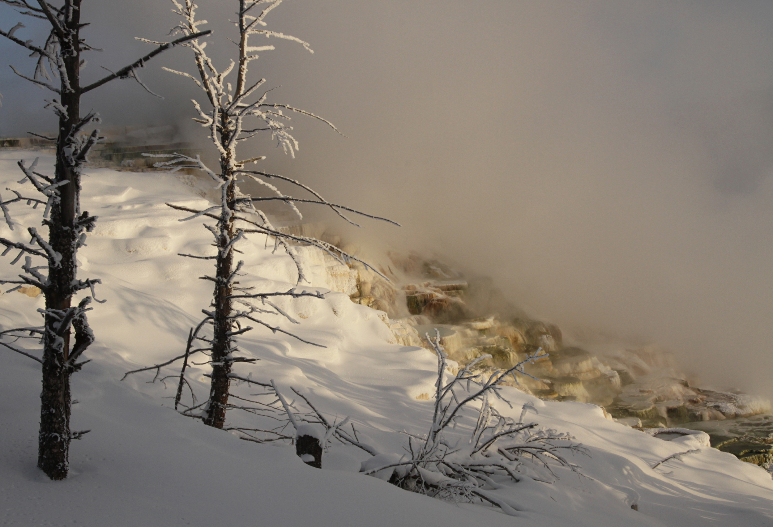 Winter Weather Alert Warns Drivers Of 'Freezing Fog' - Newsweek