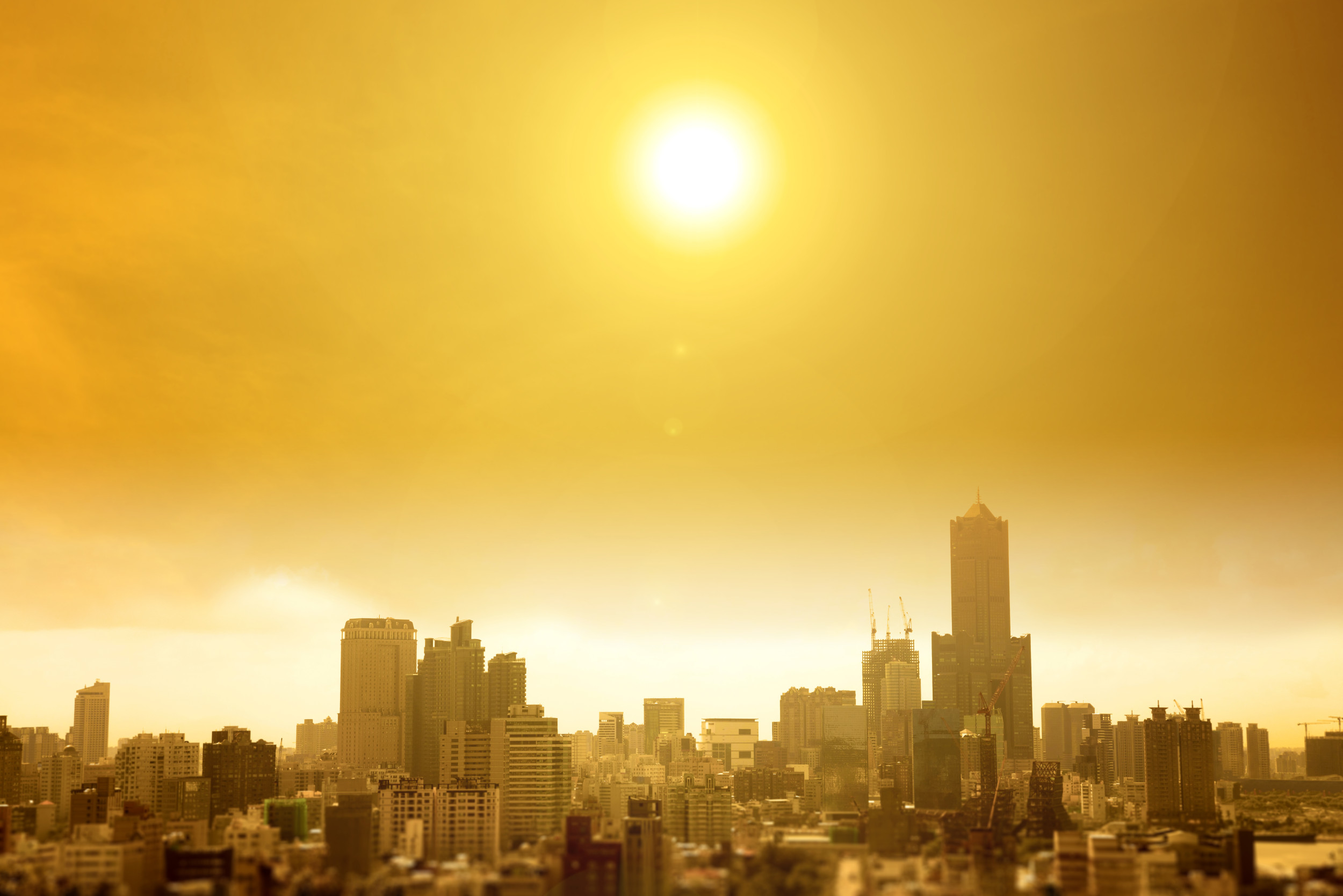 La majorité des villes américaines subissent l’effet « îlot de chaleur urbain »