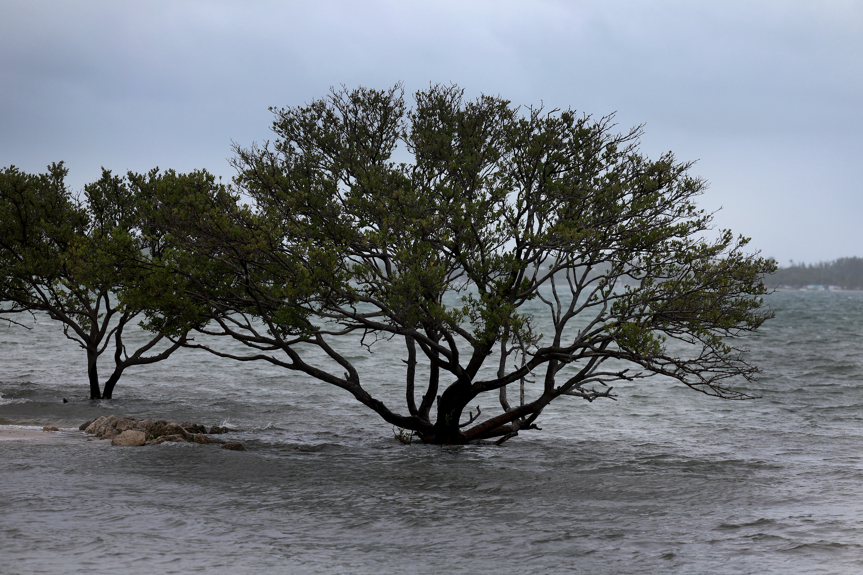 Florida's Freak Flooding Sees Water Levels Reach Alarming Record - Vimarsana News