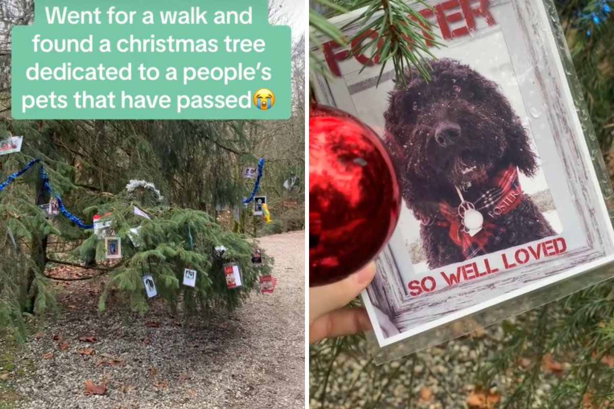 Christmas tree honors passed pets