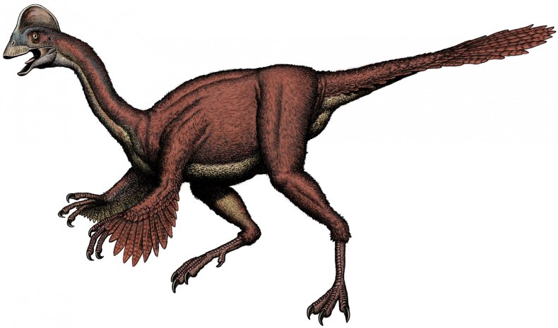 hellchicken