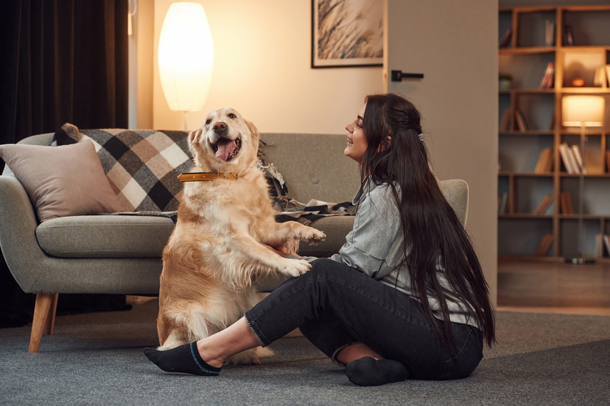 Woman's Life With Retriever Who Is 'So Needy' Leaves Internet In ...