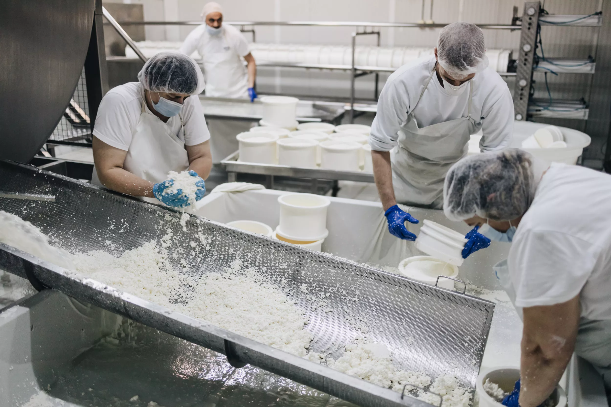 Cheese Factory Chemical Leak Sends Dozens to Hospital - Vimarsana News