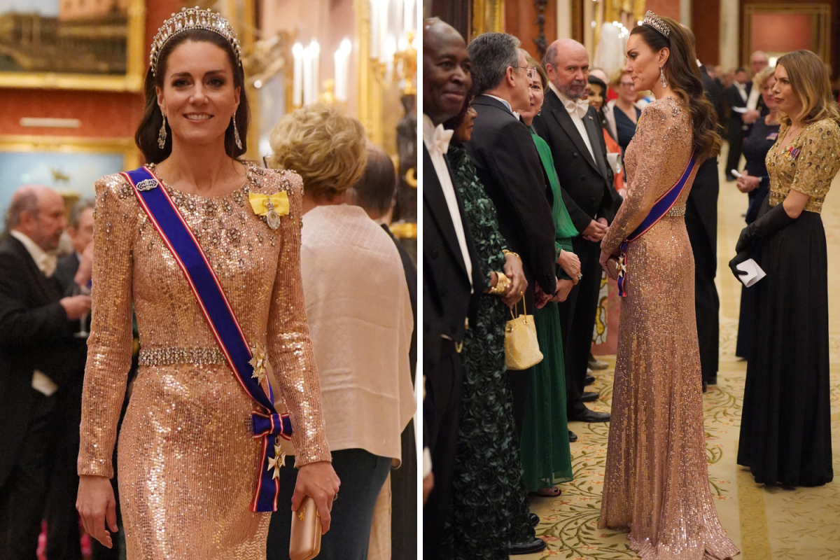 Kate Middleton Diplomatic Reception 2023