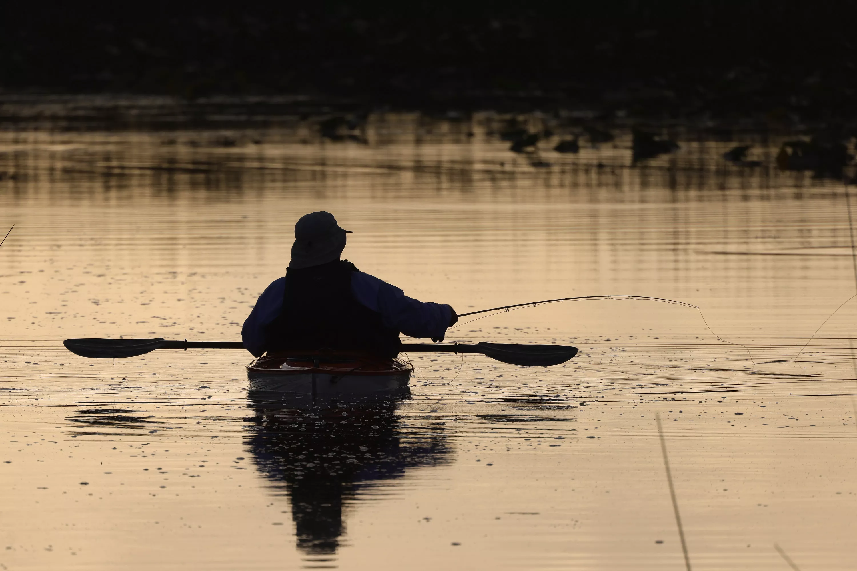 Florida Man Missing After Kayak Found Broken in Two: Coast Guard - Vimarsana News