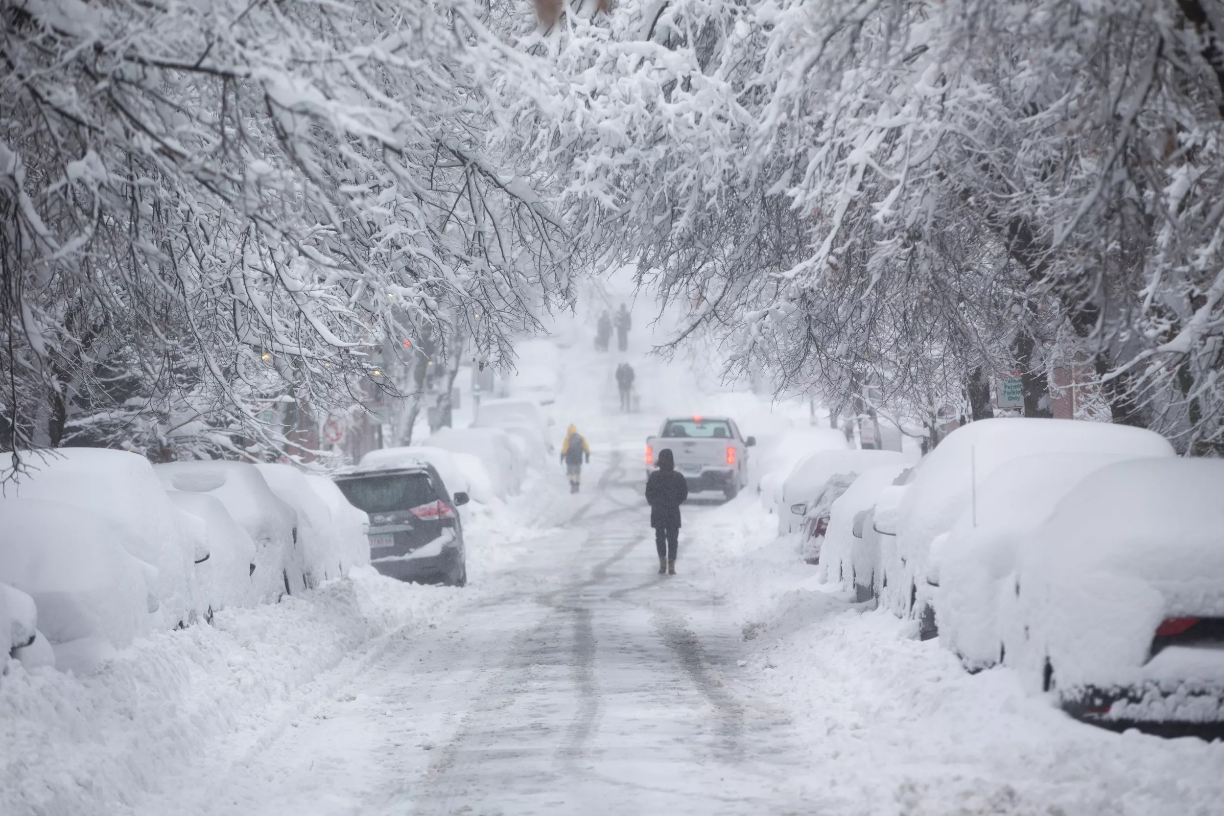 Winter Weather Alerts Issued for 10 States With Snow To Hit on Christmas - Vimarsana News