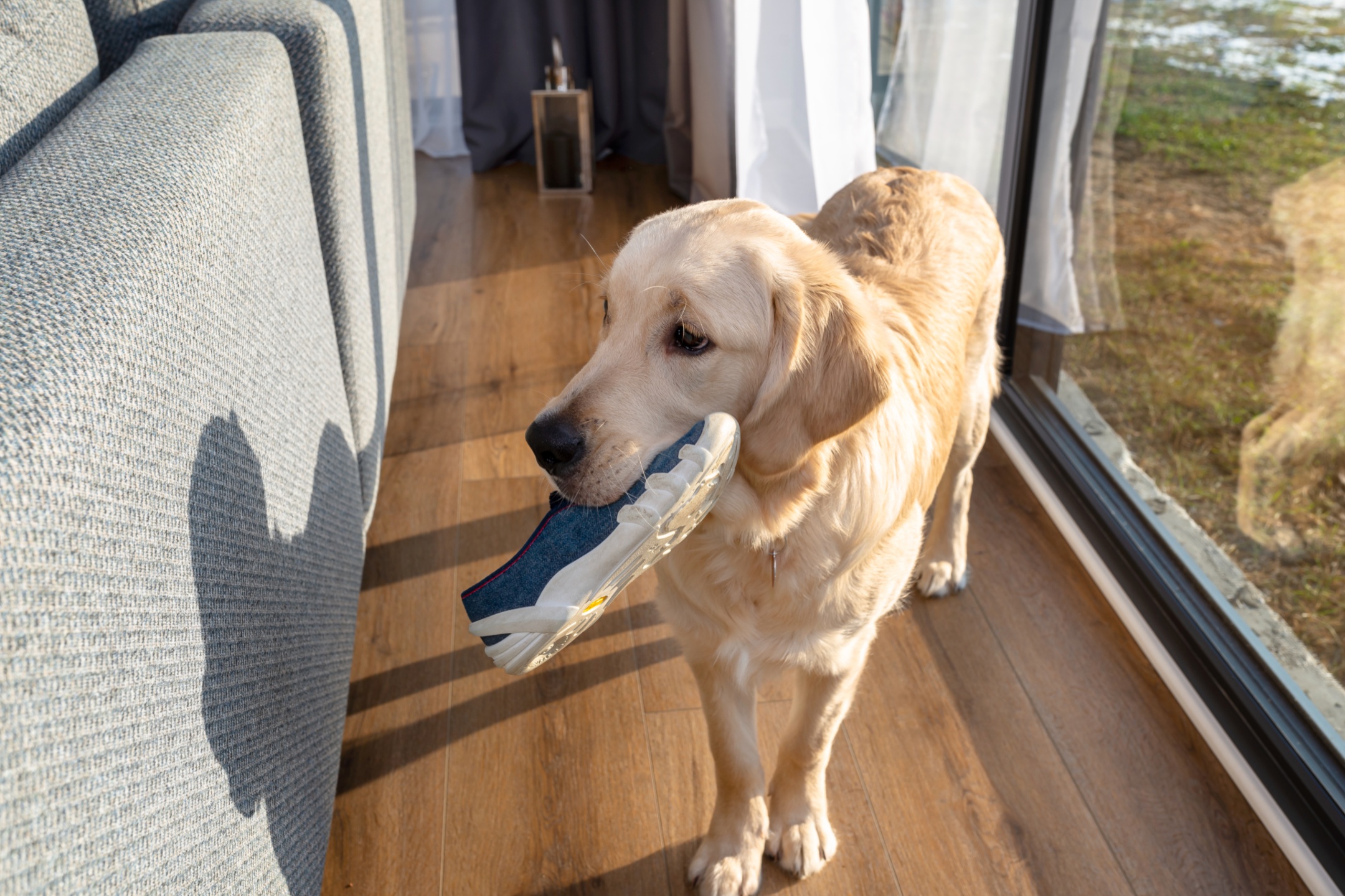 Labrador clearance retriever slippers