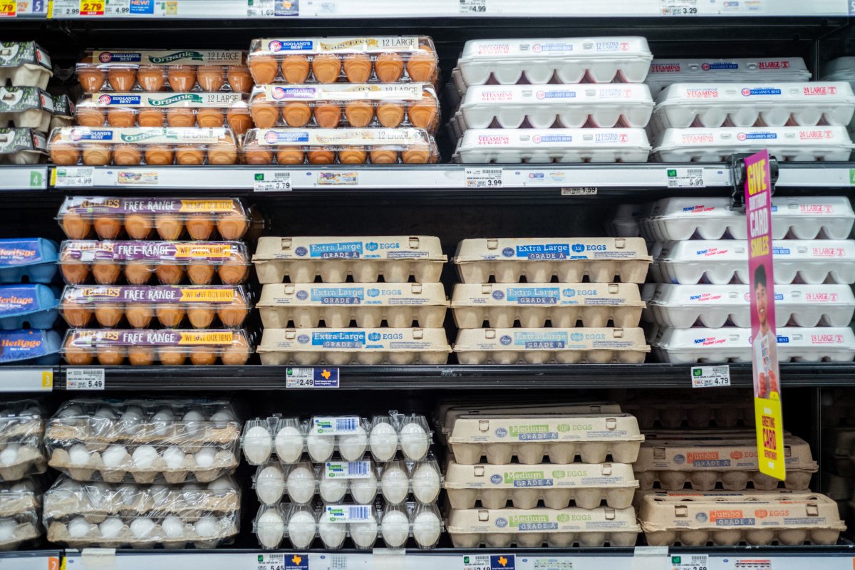 Cartons of eggs are seen for sale