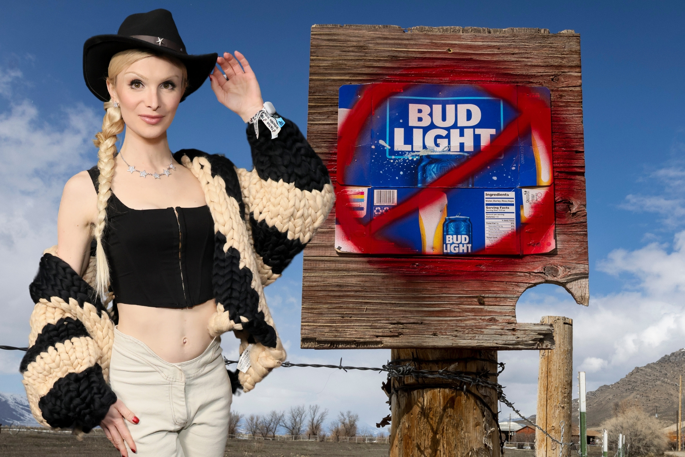 Bud Light S Disastrous Year