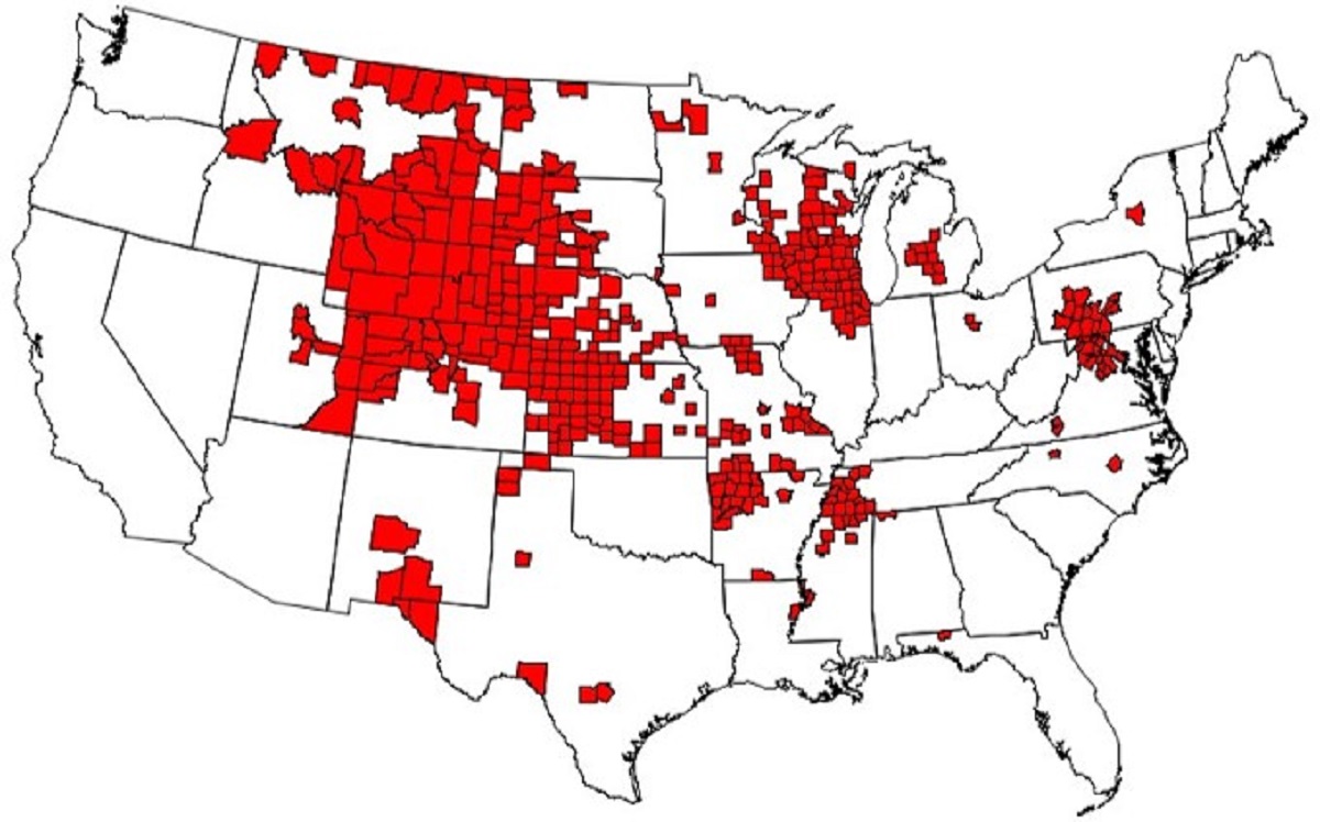 Map Of States Where Chronic Wasting Disease Causes Zombie Effect In   Cdc Zombie Deer Map 