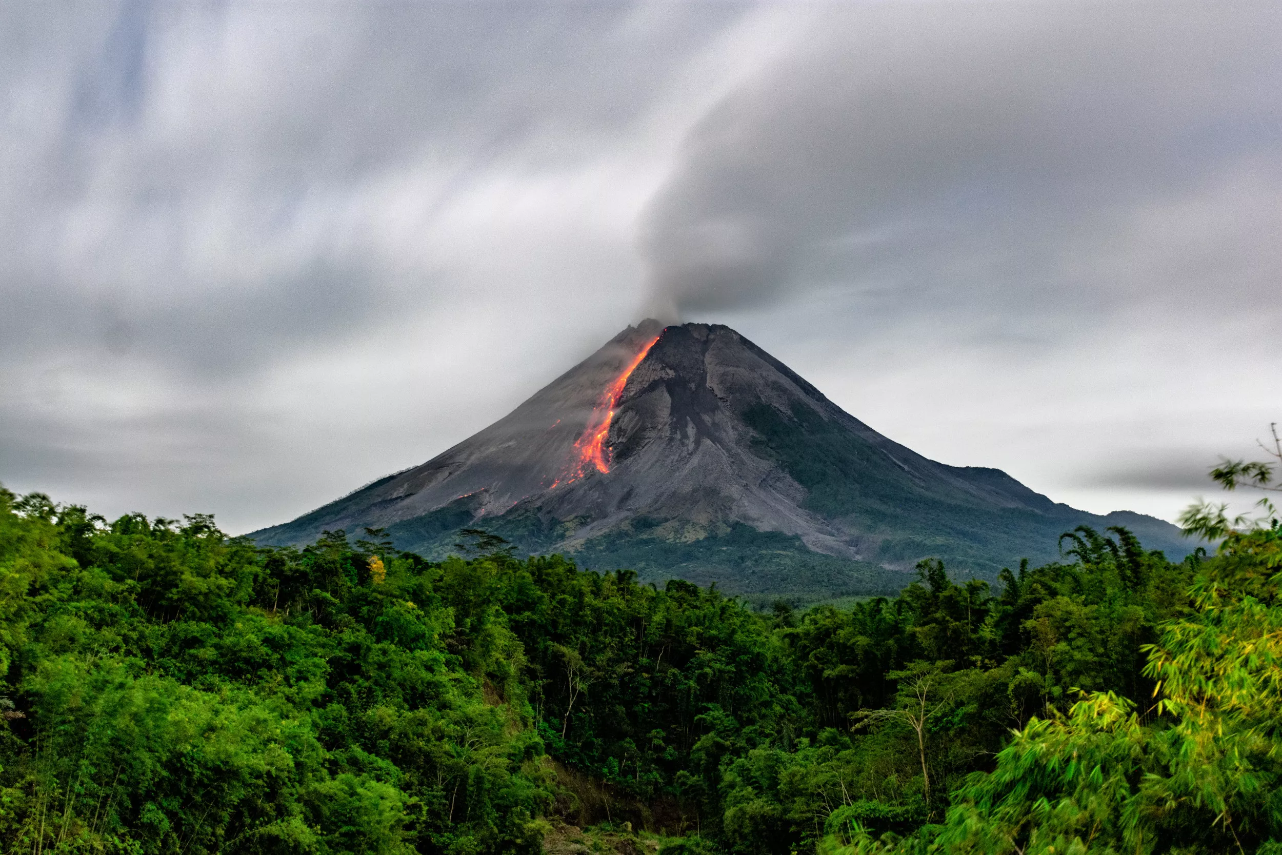 Trees Could Help Predict Volcanic Eruptions, Say Geologists - Vimarsana News