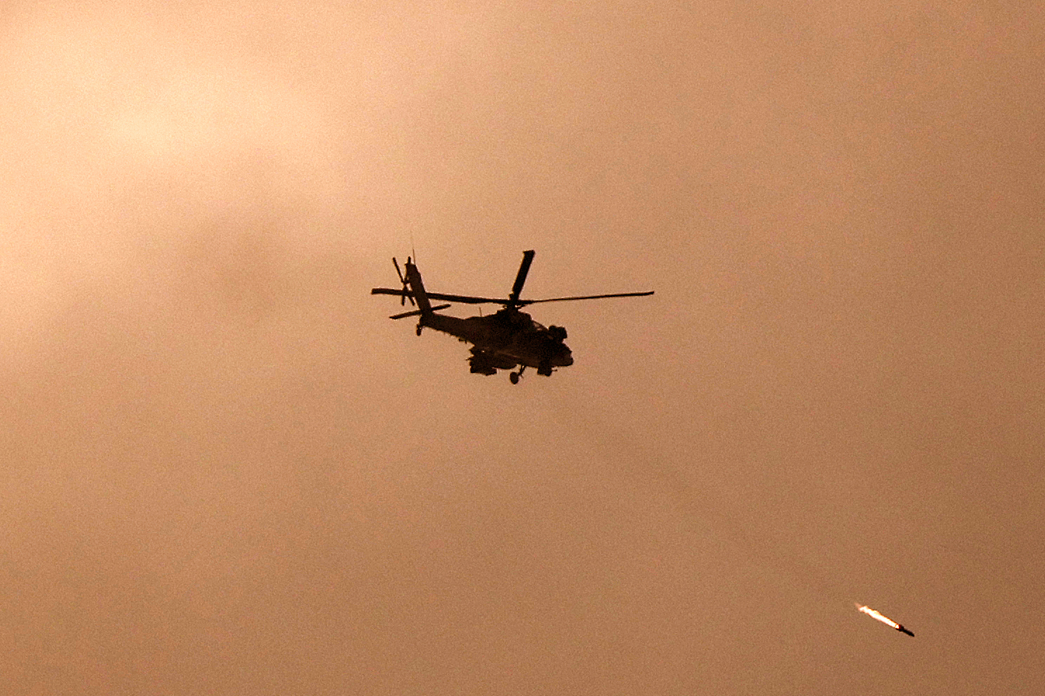 2024 Is Another Year of Living Dangerously | Opinion