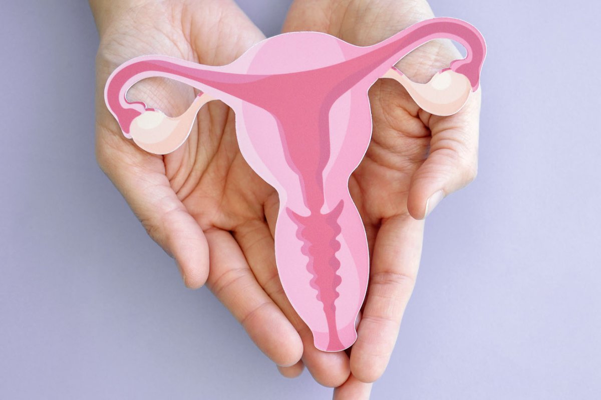 female reproductive system