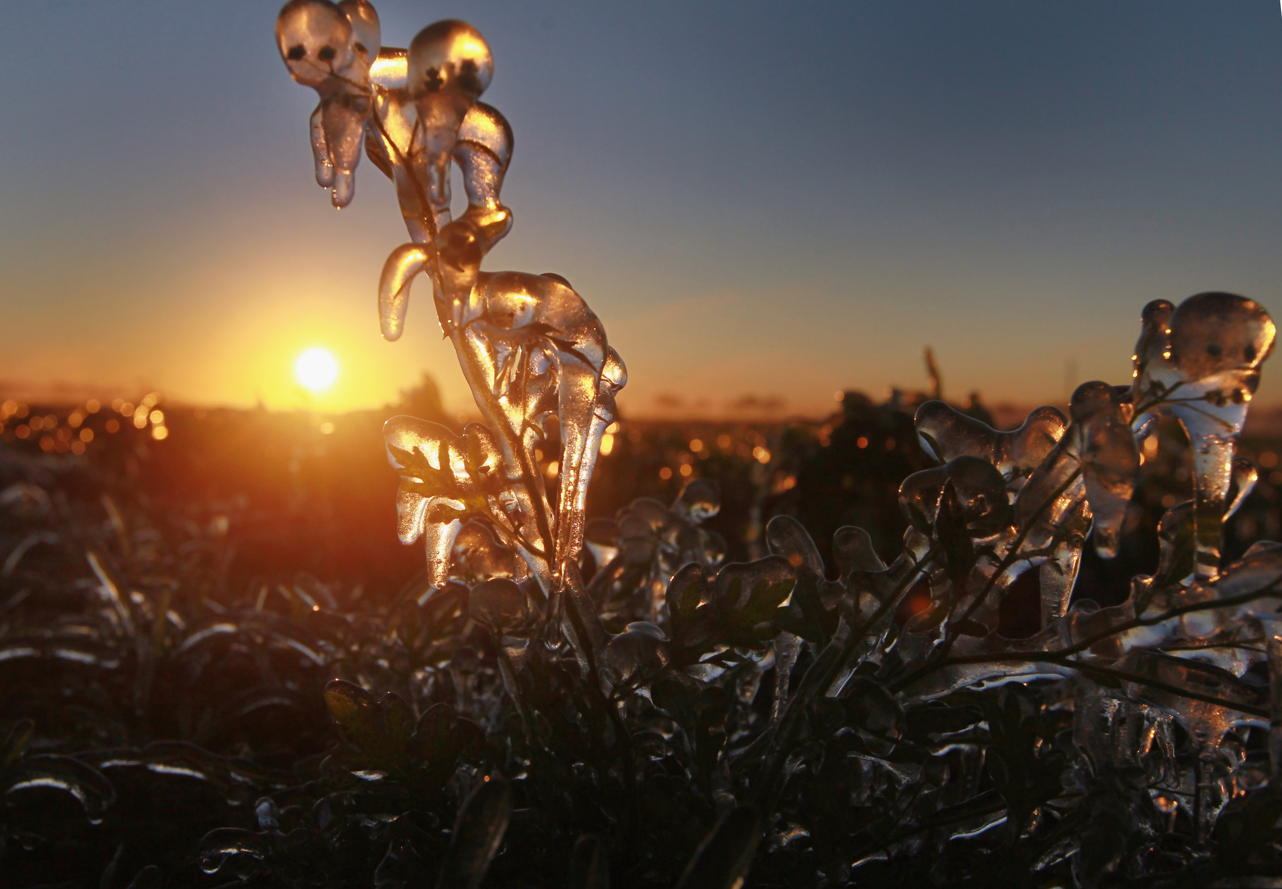 Winter Weather Alert Issued in One State Sparks Warning About Children