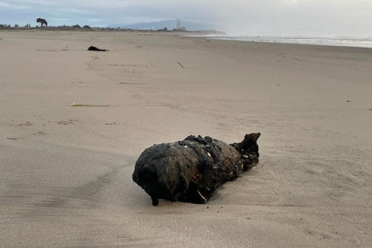 Unexploded bomb california beach