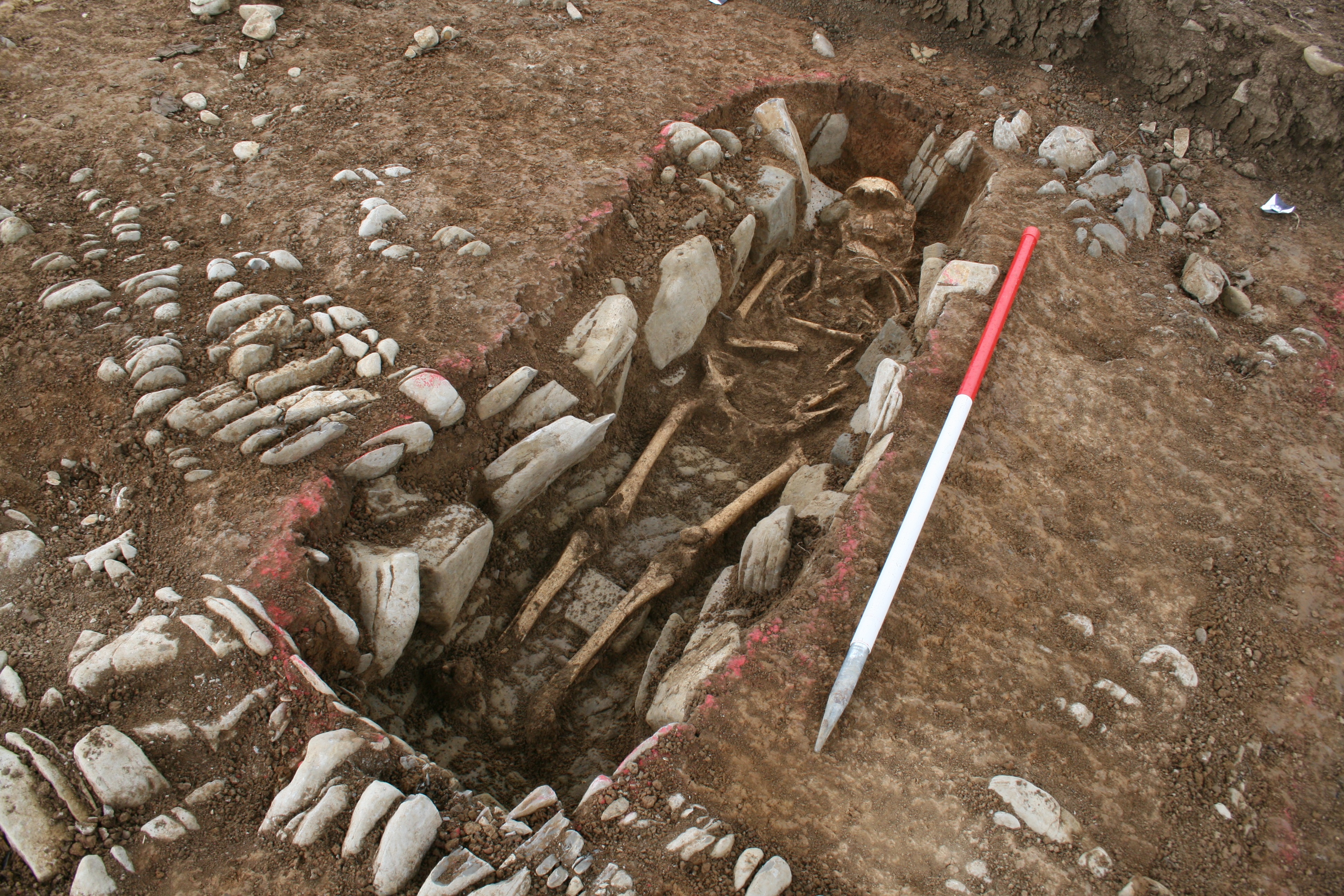 Archaeologists Discover Proof of Feasts for the Useless in Medieval Cemetery