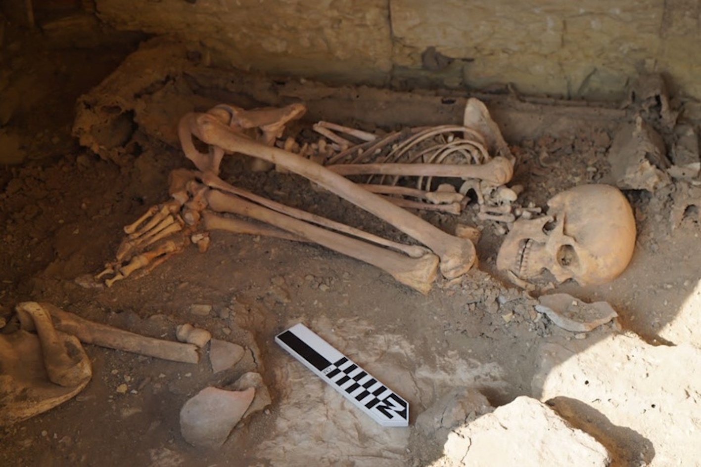 Archaeologists find ancient Egyptian tomb with burials and statues of Isis