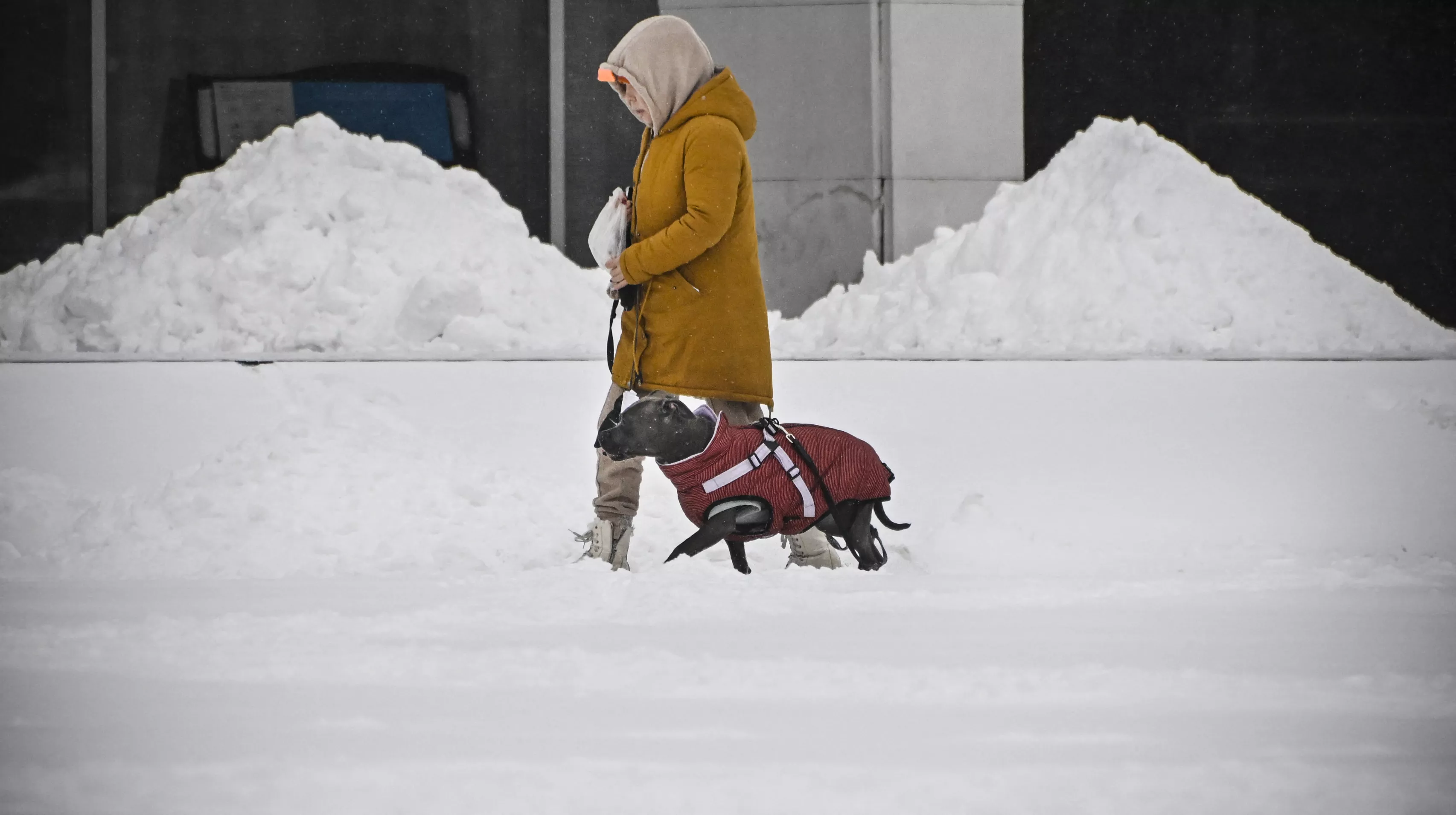 Winter Freeze Threats Come Back To Bite Russia As Power Outages Spread - Vimarsana News