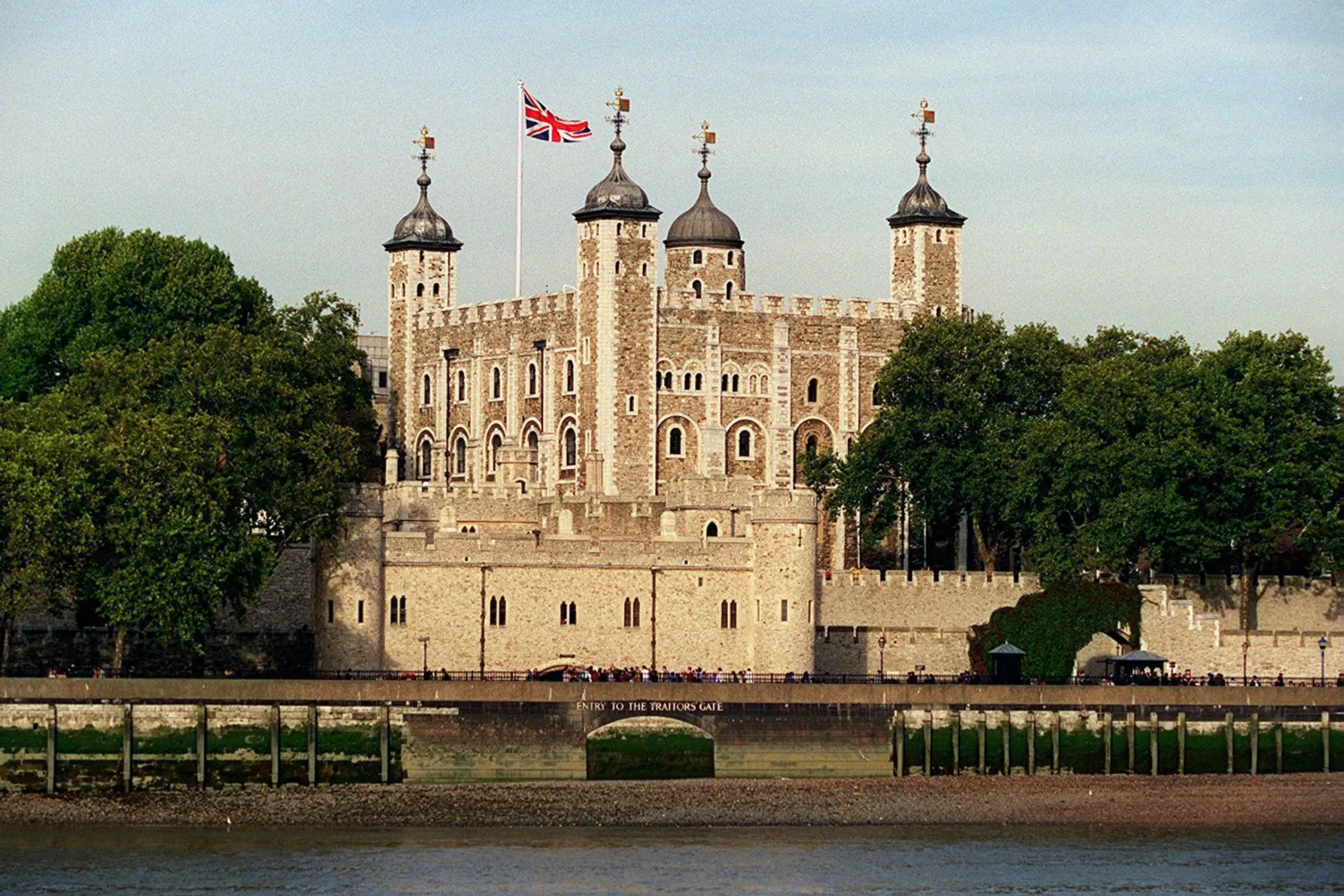 Feisty Kitten Moves Into the Iconic Tower of London—'Queen of the Pawtress' - Vimarsana News