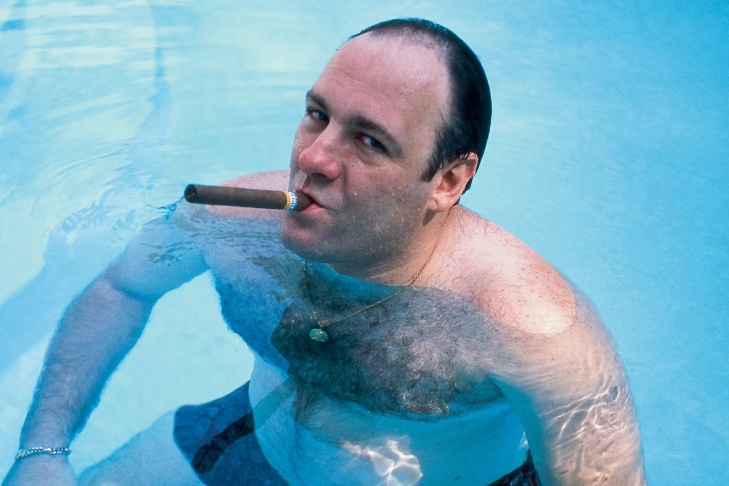 Warner Bros. Under Fire for Major 'Sopranos' Change - Vimarsana News