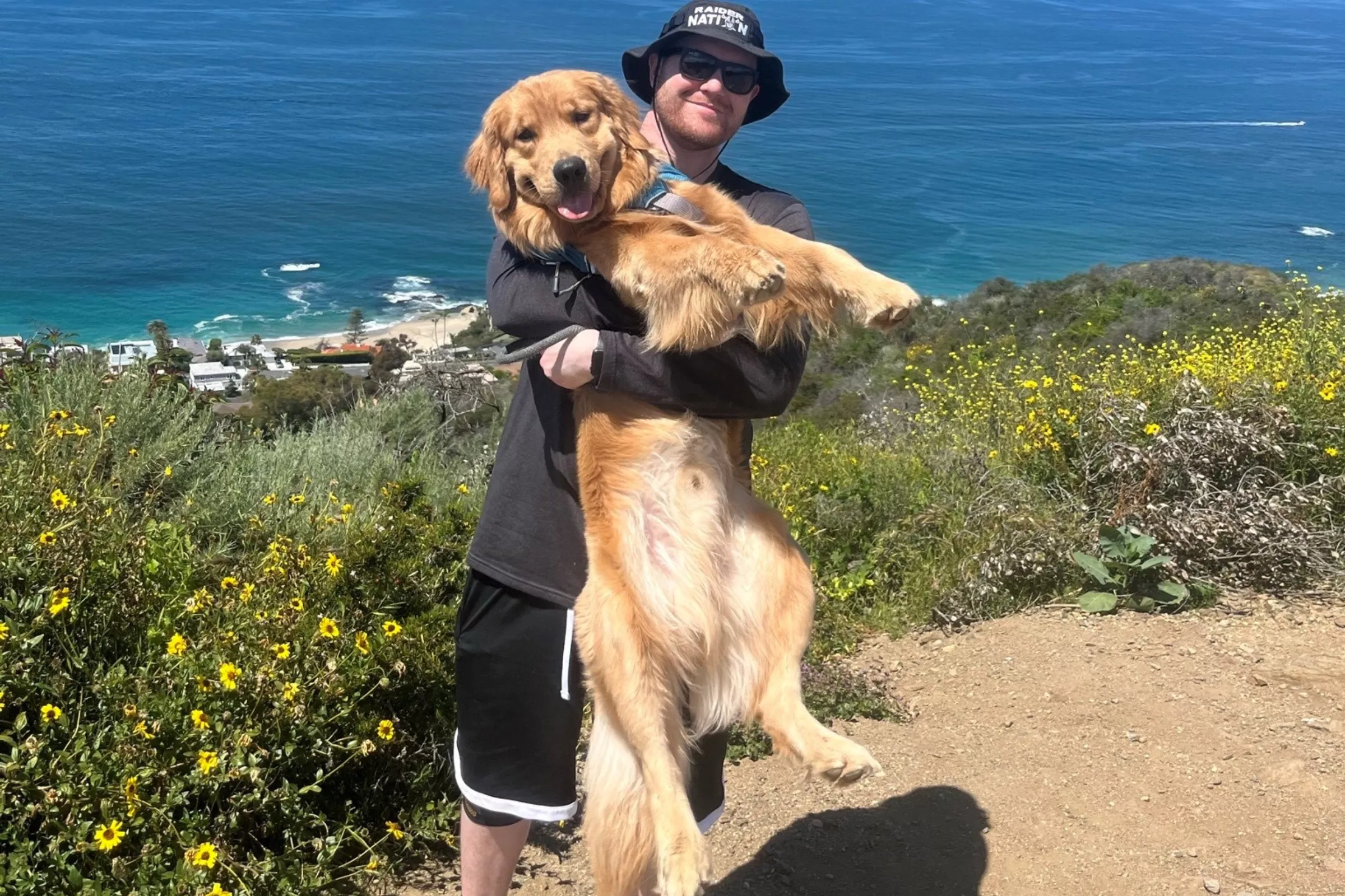 Golden Retriever Rushes to Owner After Sensing Something Is Wrong With Him - Vimarsana News