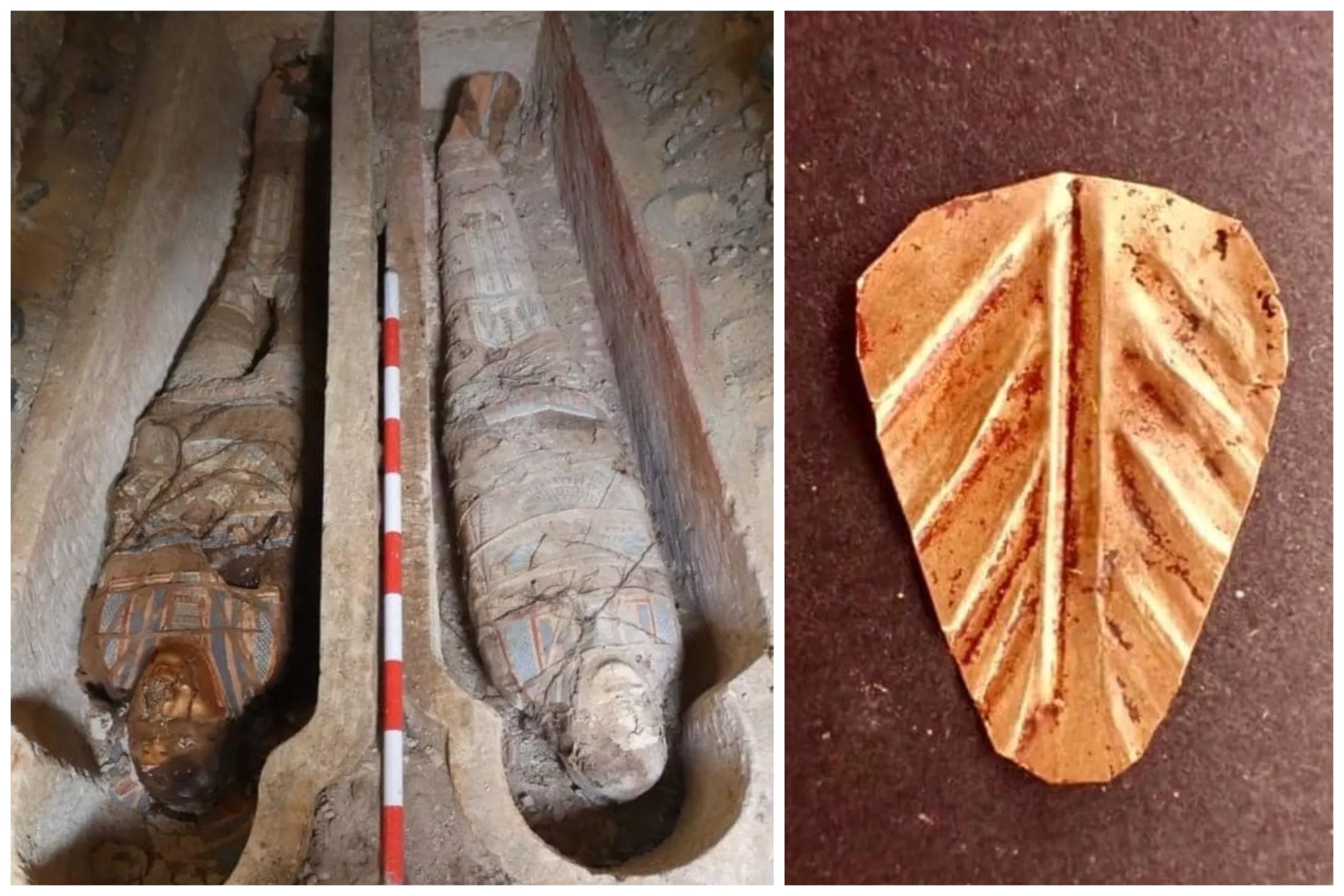Archaeologists Unearth Dozens of Egyptian Mummies—Two With Golden Tongues - Vimarsana News