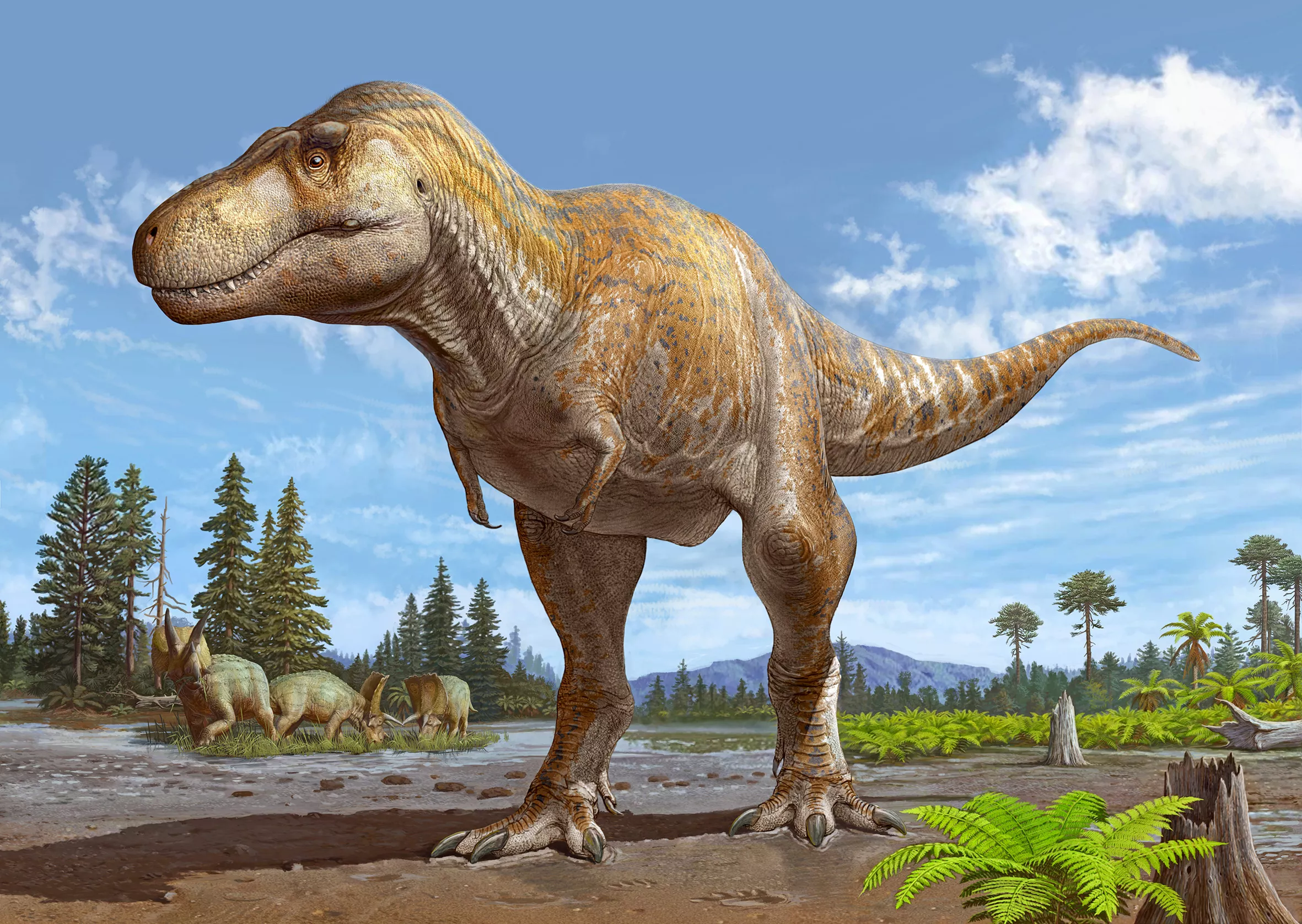 T. Rex's Closest Cousin Discovered, Shining Light on Tyrannosaur Origins - Vimarsana News