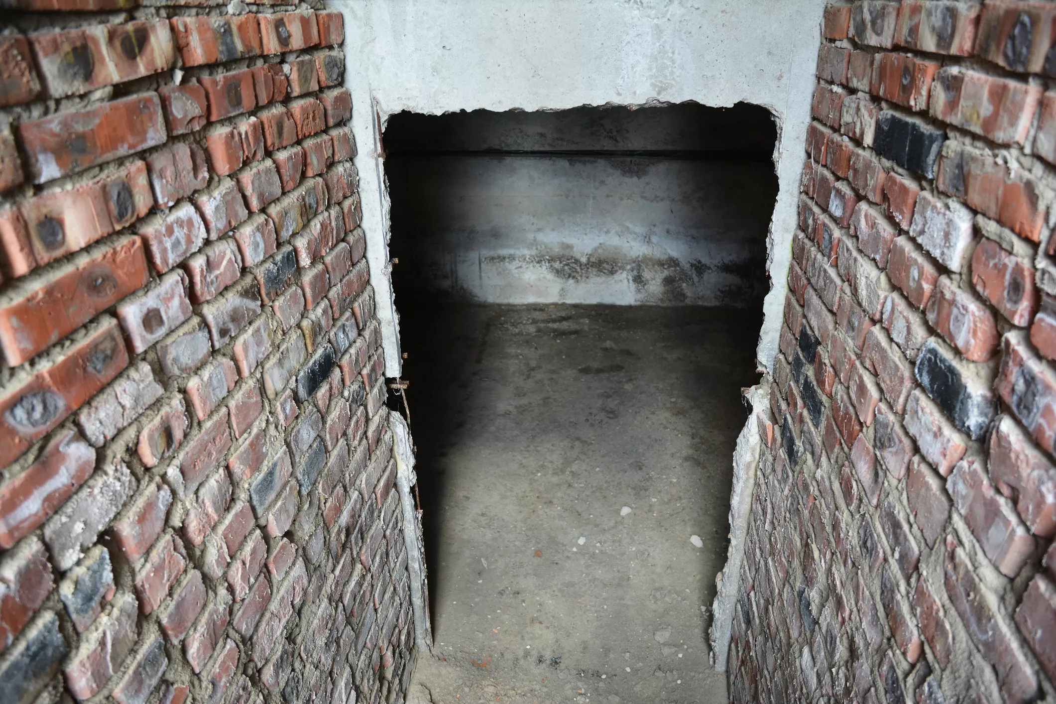 Shock As Trap Doors, Hidden Bunker Found in House of Old 'Doomsday Prepper' - Vimarsana News