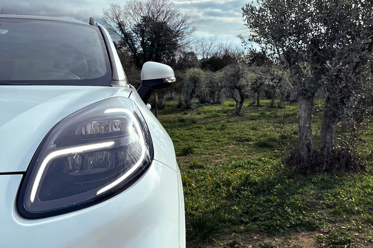 Ford's New Plastic Auto Parts Are Made From Olives - Vimarsana News